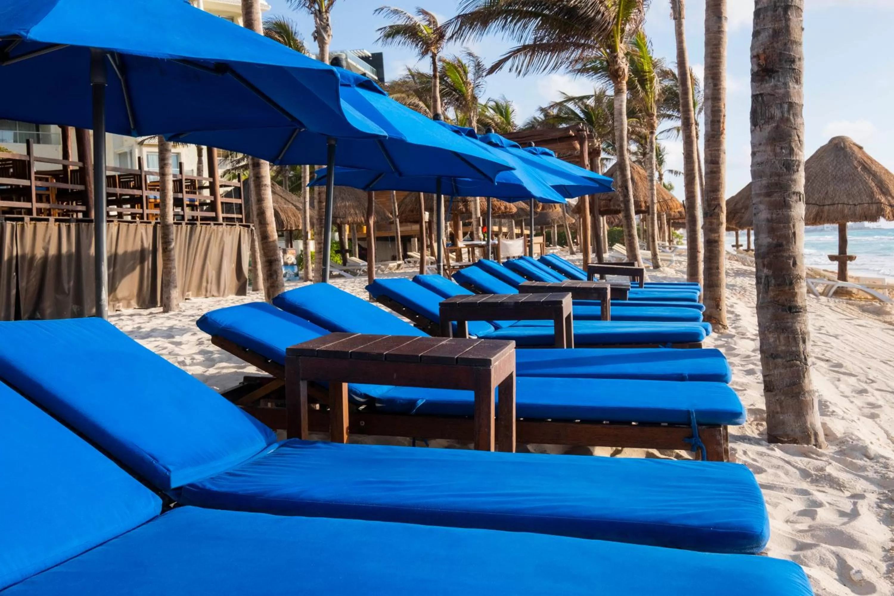 Natural landscape in Hotel NYX Cancun