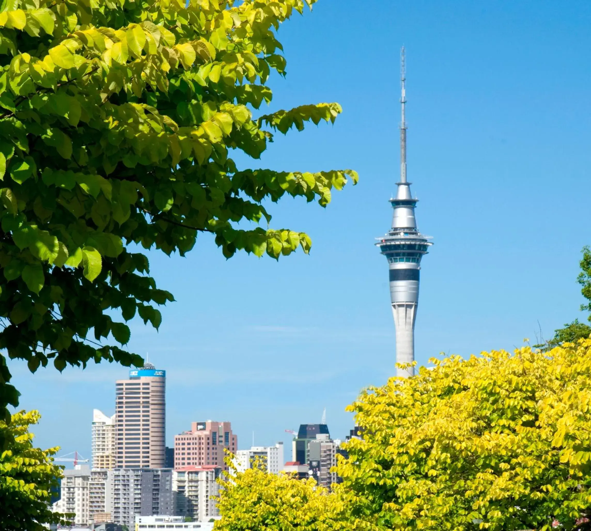 Nearby landmark in Quest Ponsonby Serviced Apartments