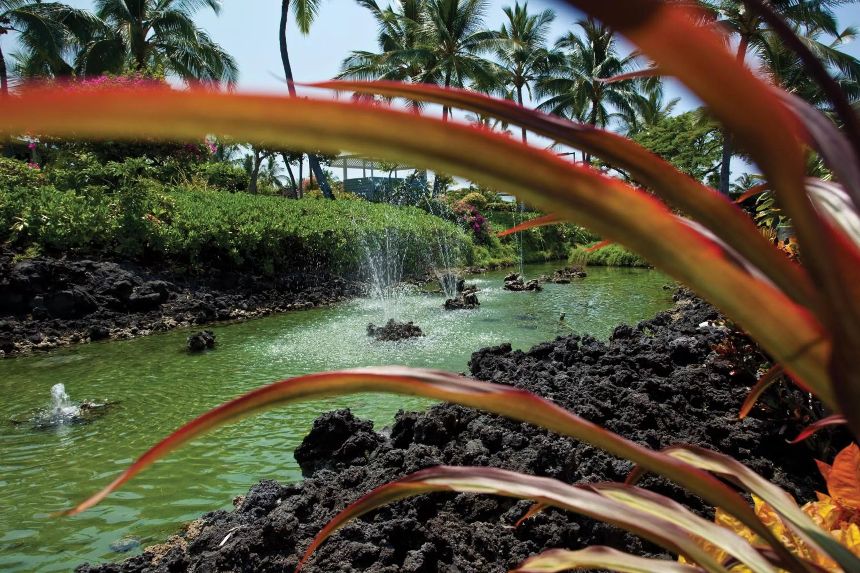 Property building in Holua Resort