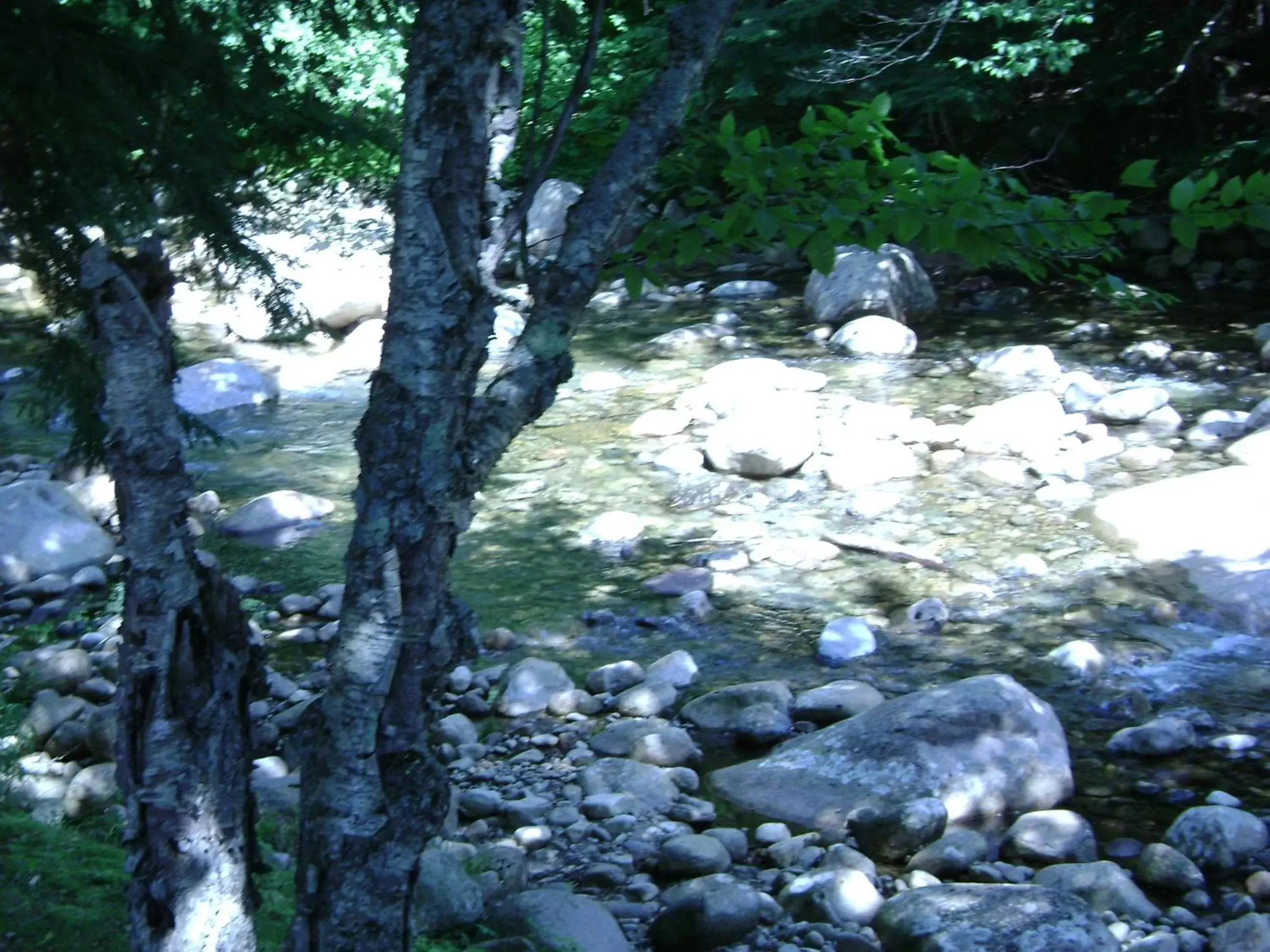 Area and facilities in Franconia Notch Motel