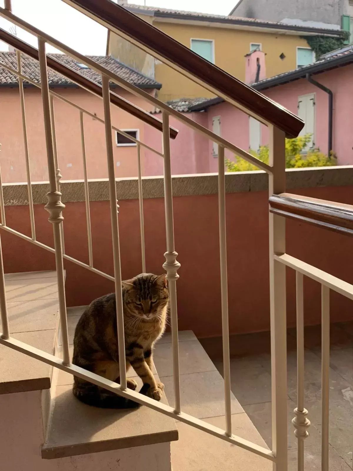 Property building, Pets in Borgo al Sole by Garda Facilities