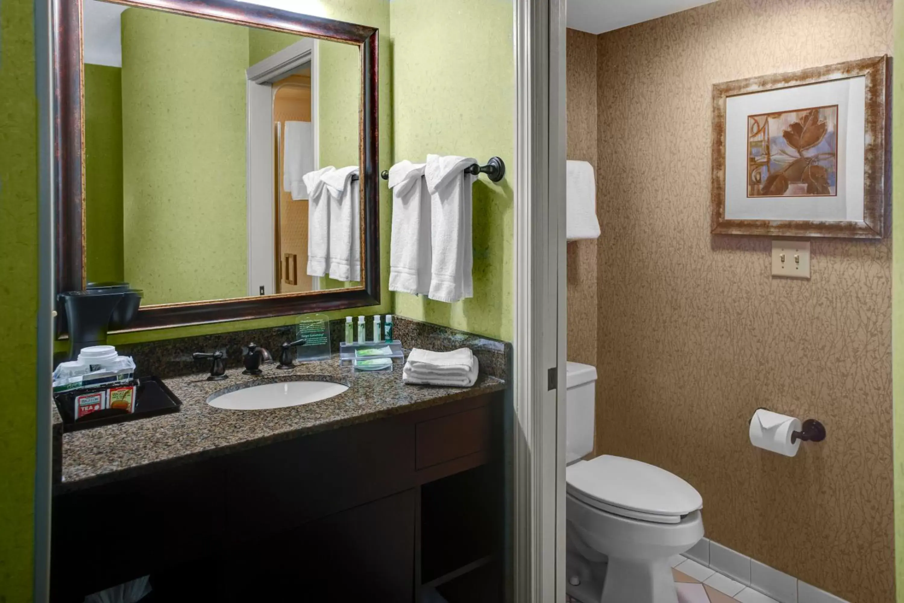 Bathroom in Holiday Inn Express Hotel & Suites Atlanta Buckhead, an IHG Hotel