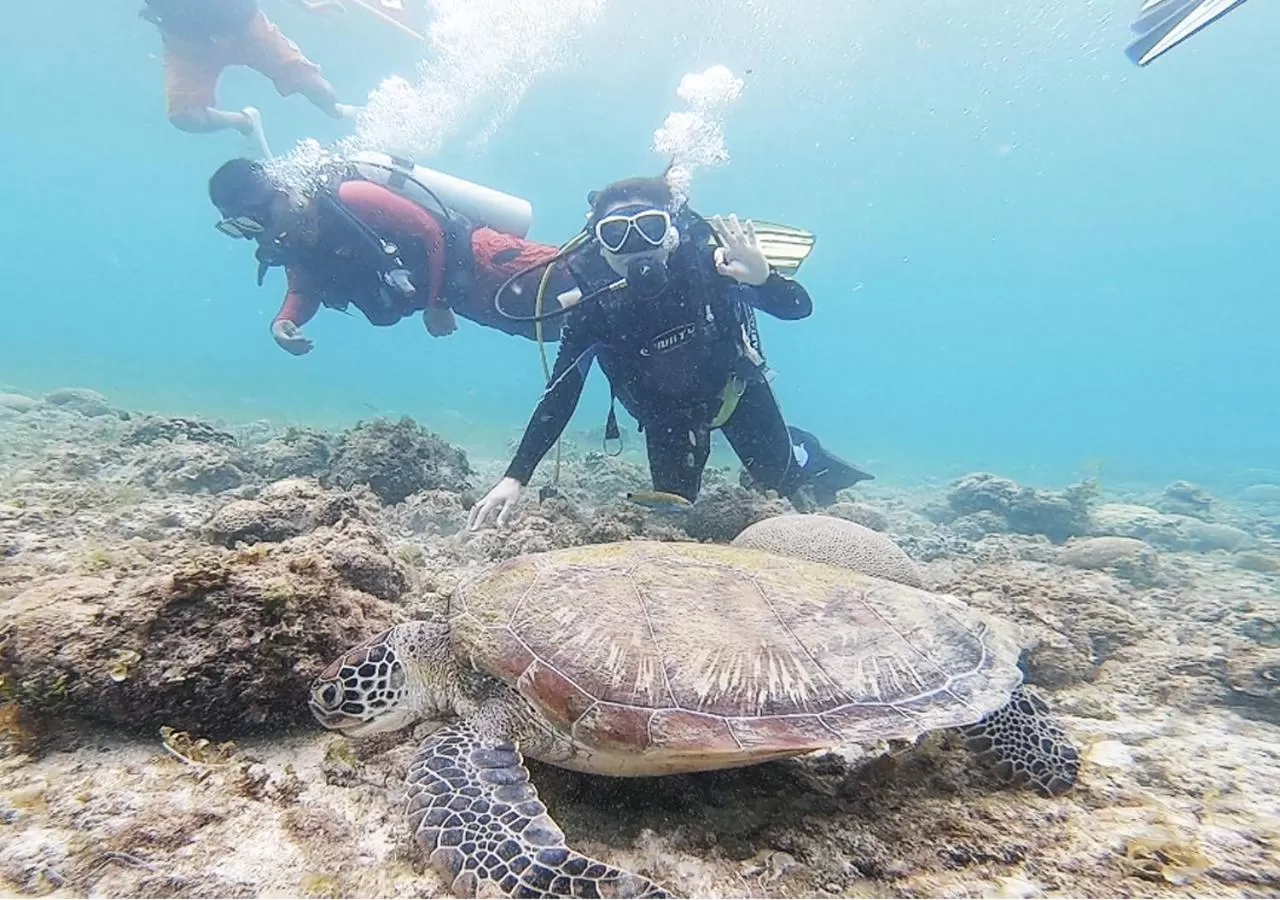 Diving, Snorkeling/Diving in Pescadores Suites Moalboal