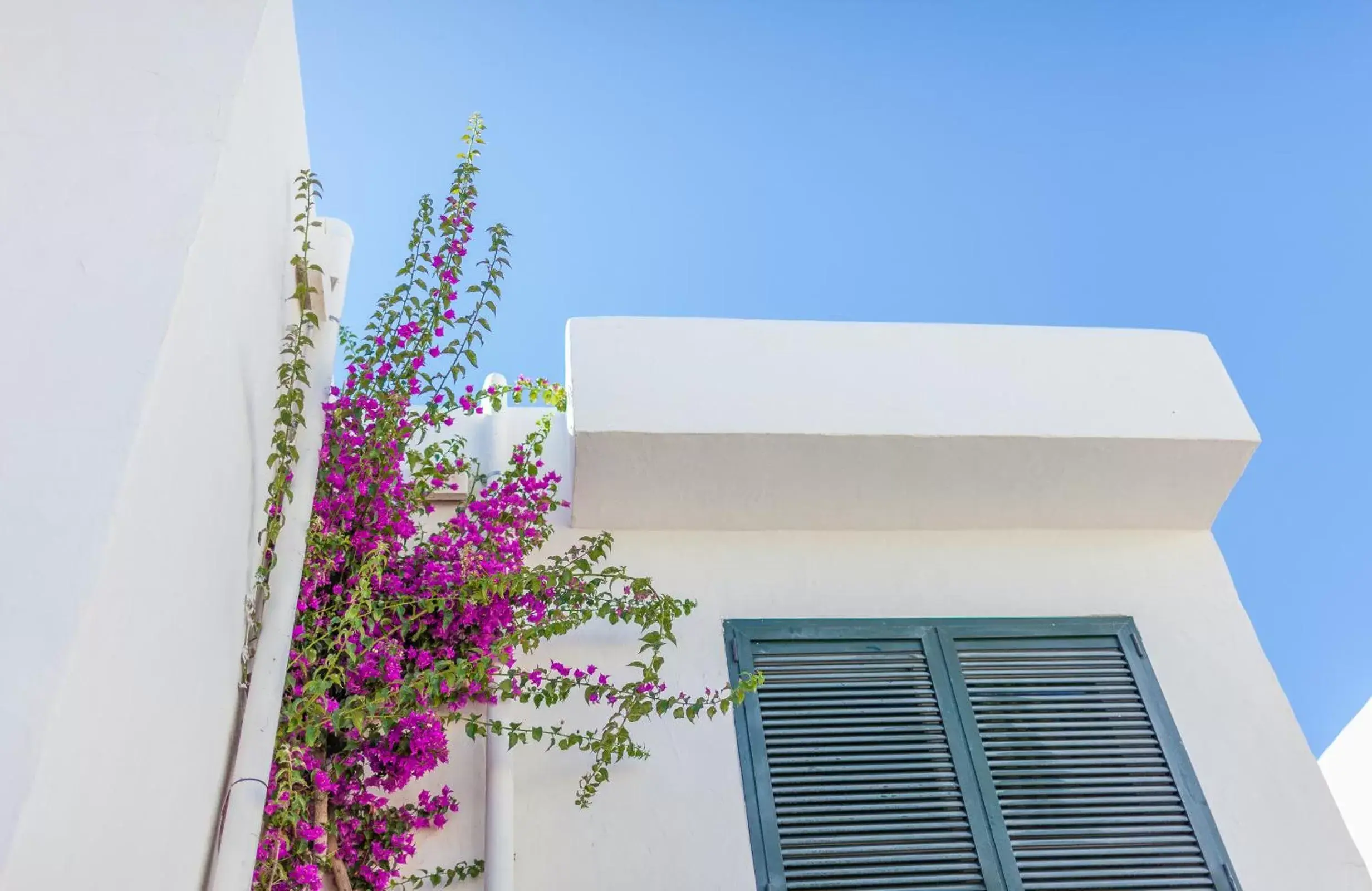 Decorative detail, Property Building in Camelina Suites - Formerly Torrent Bay