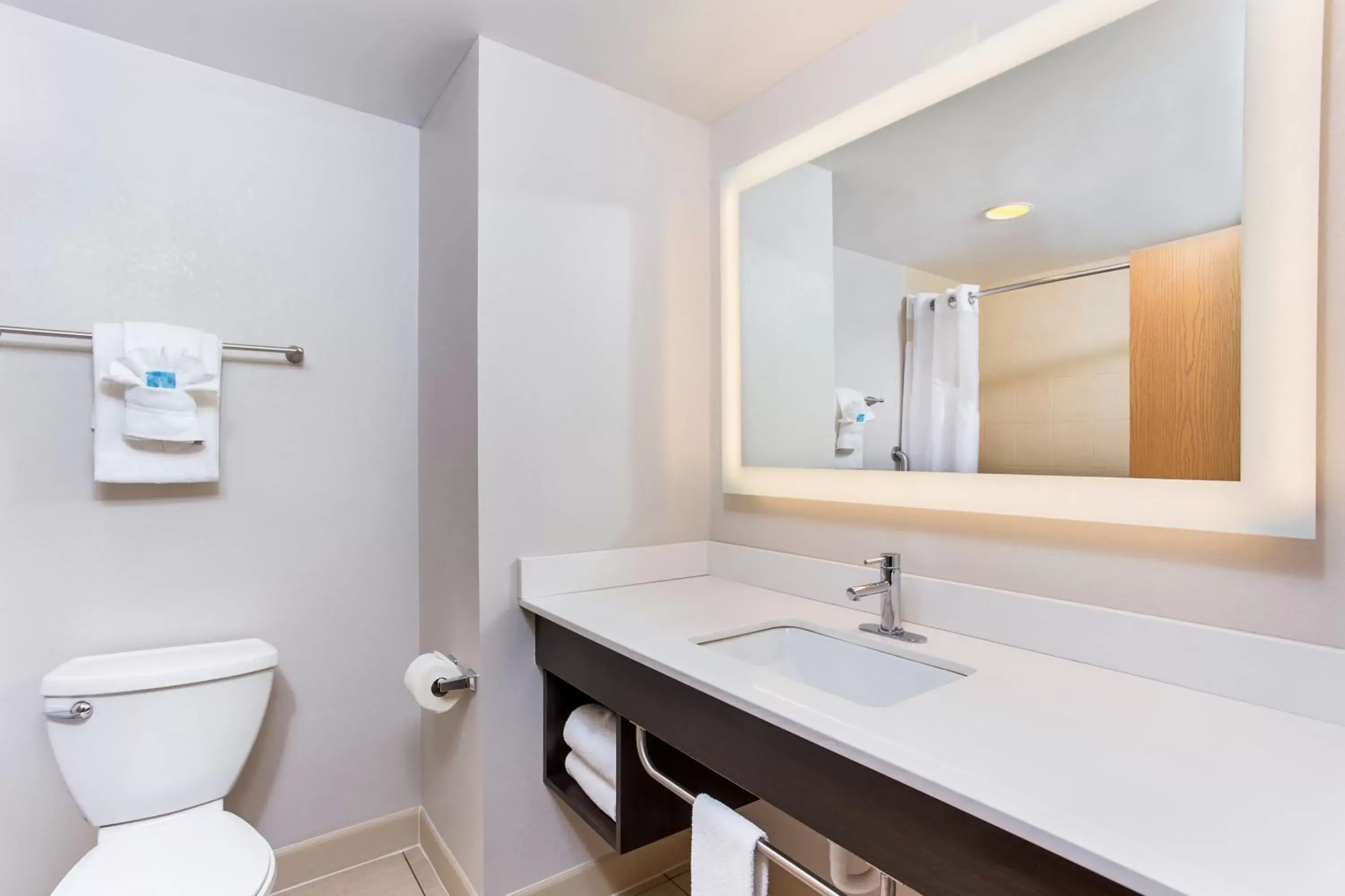 Bathroom in Holiday Inn Express & Suites Morristown, an IHG Hotel
