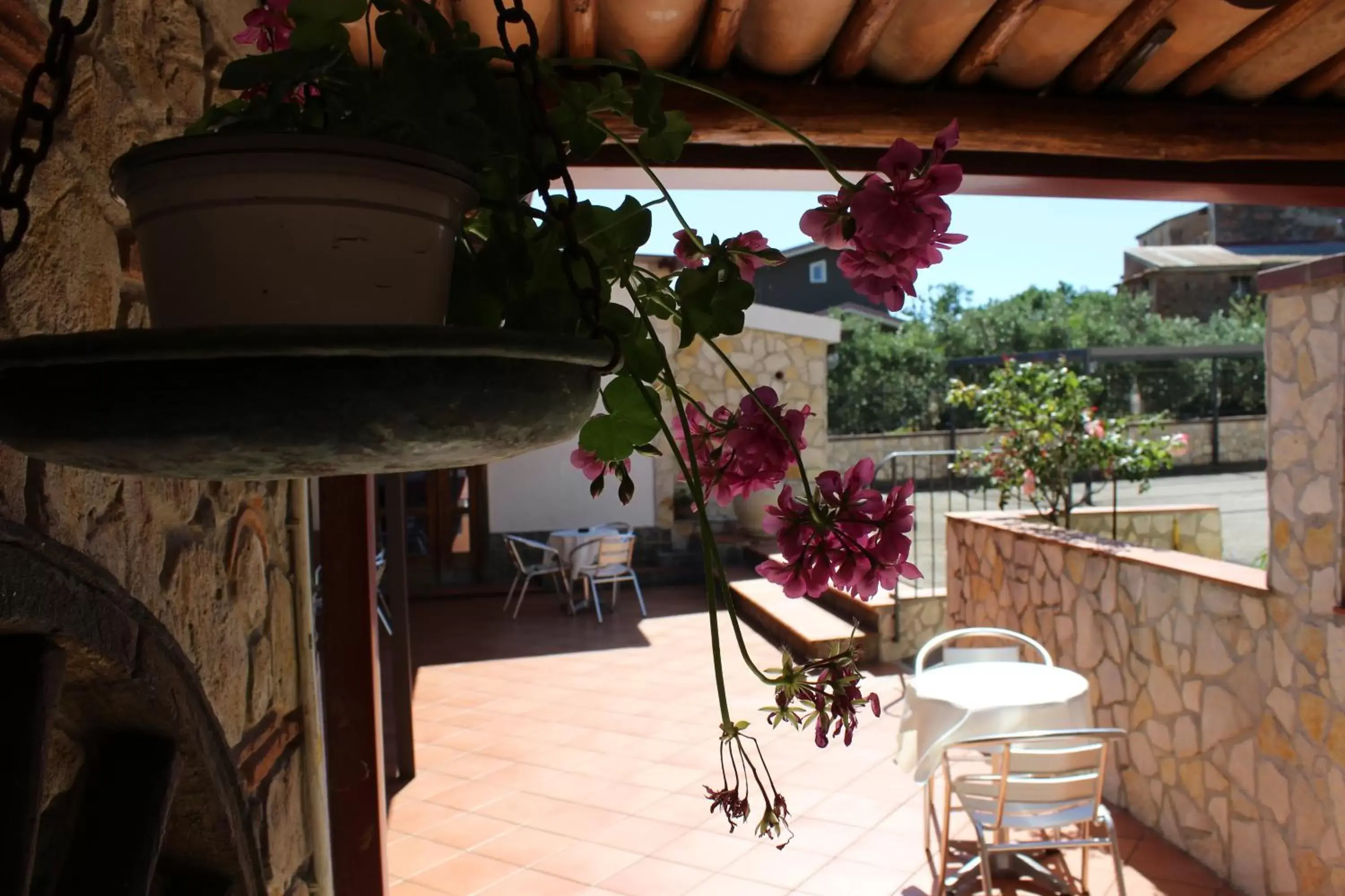 Balcony/Terrace in B&B La Vigna