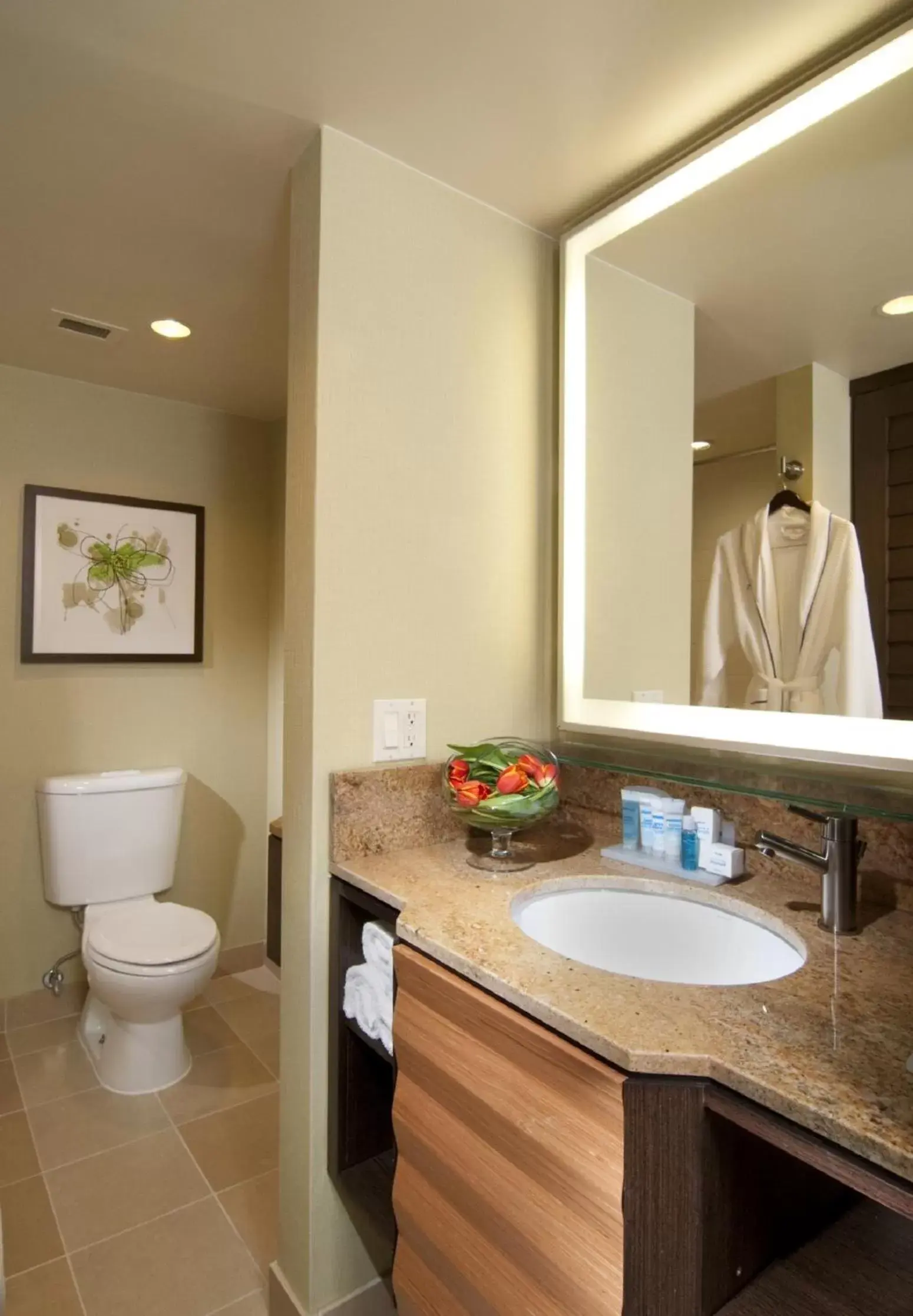 Bathroom in Holiday Inn San Jose-Silicon Valley, an IHG Hotel