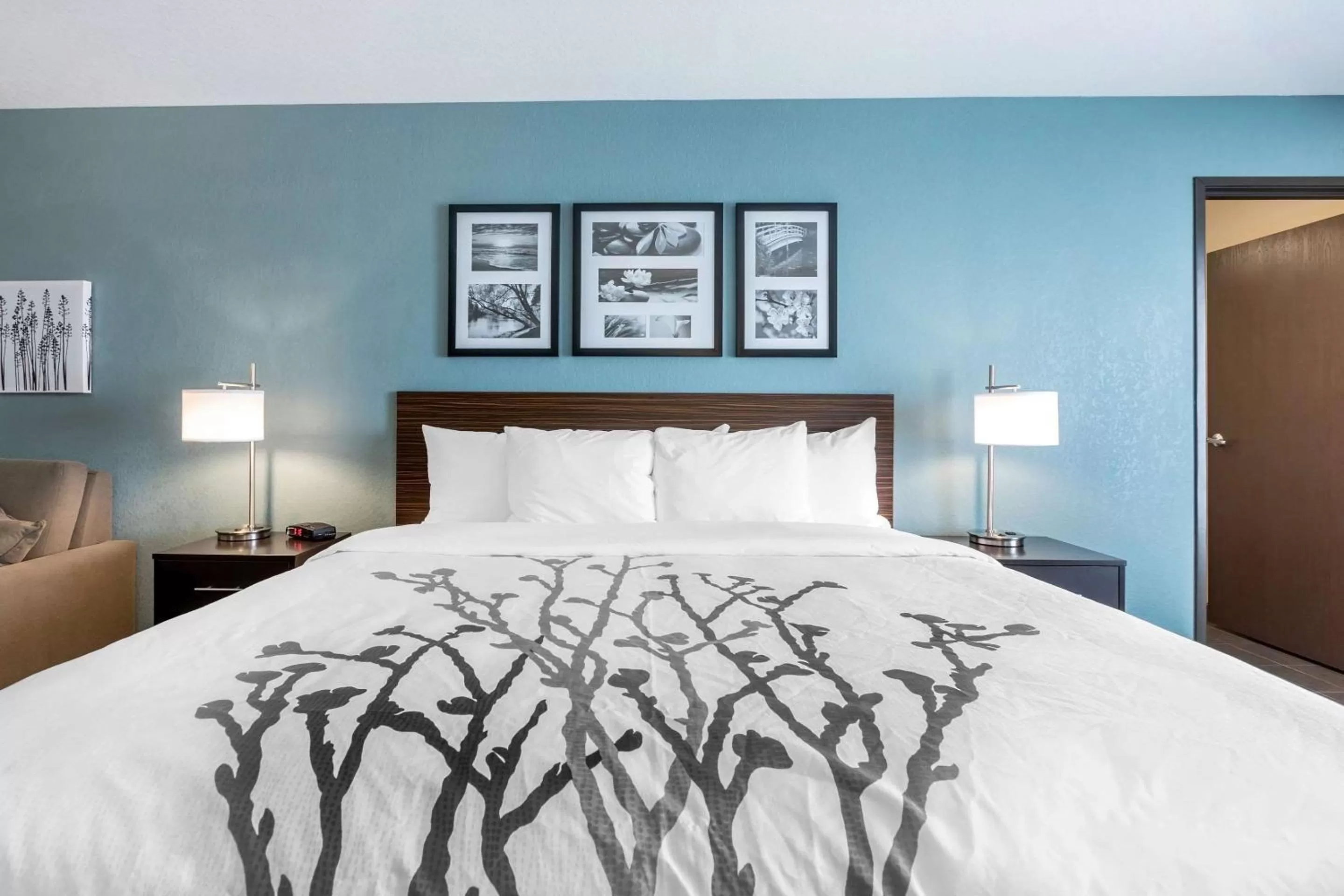 Photo of the whole room, Bed in Sleep Inn & Suites West Des Moines near Jordan Creek