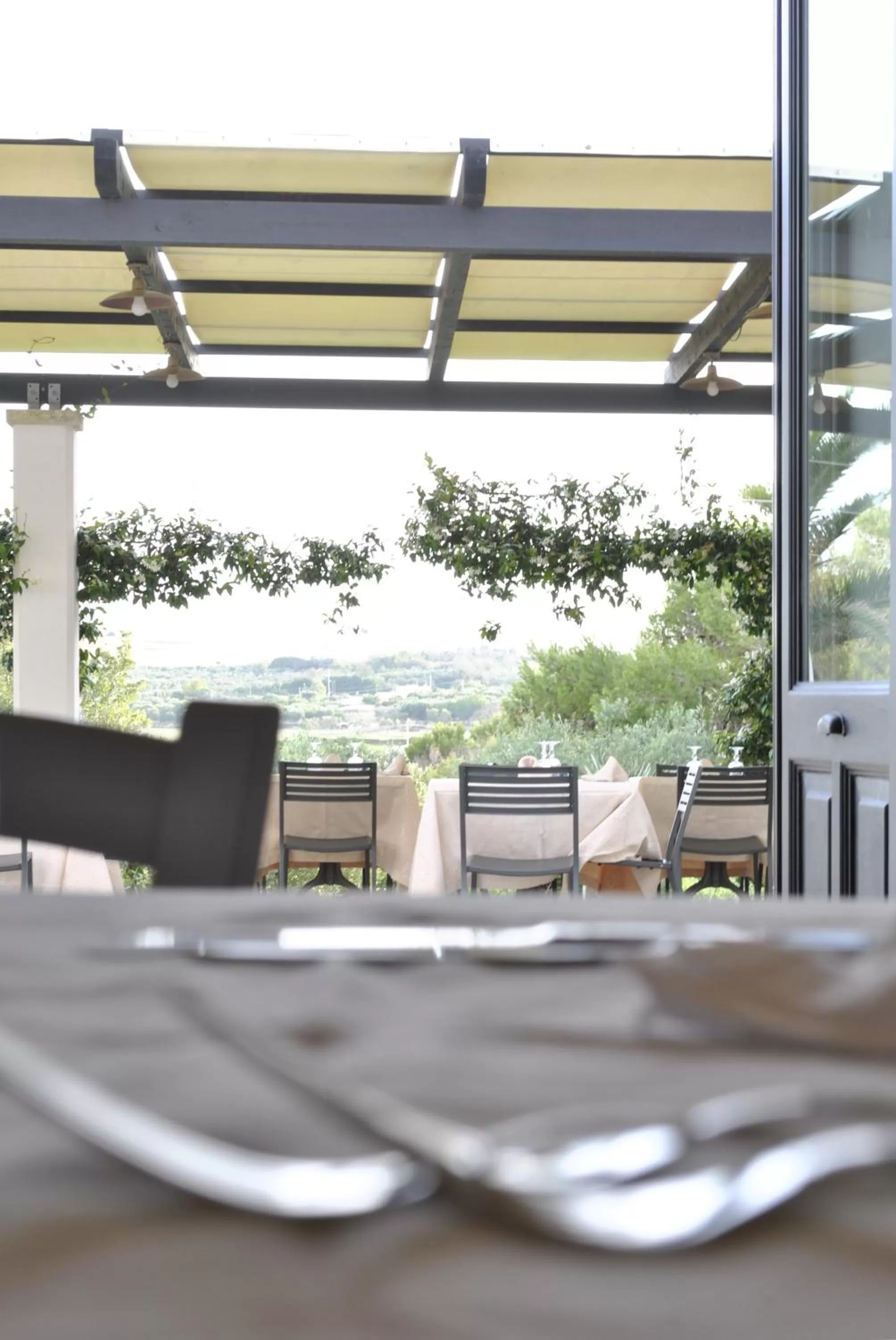 Restaurant/places to eat in Masseria Panareo