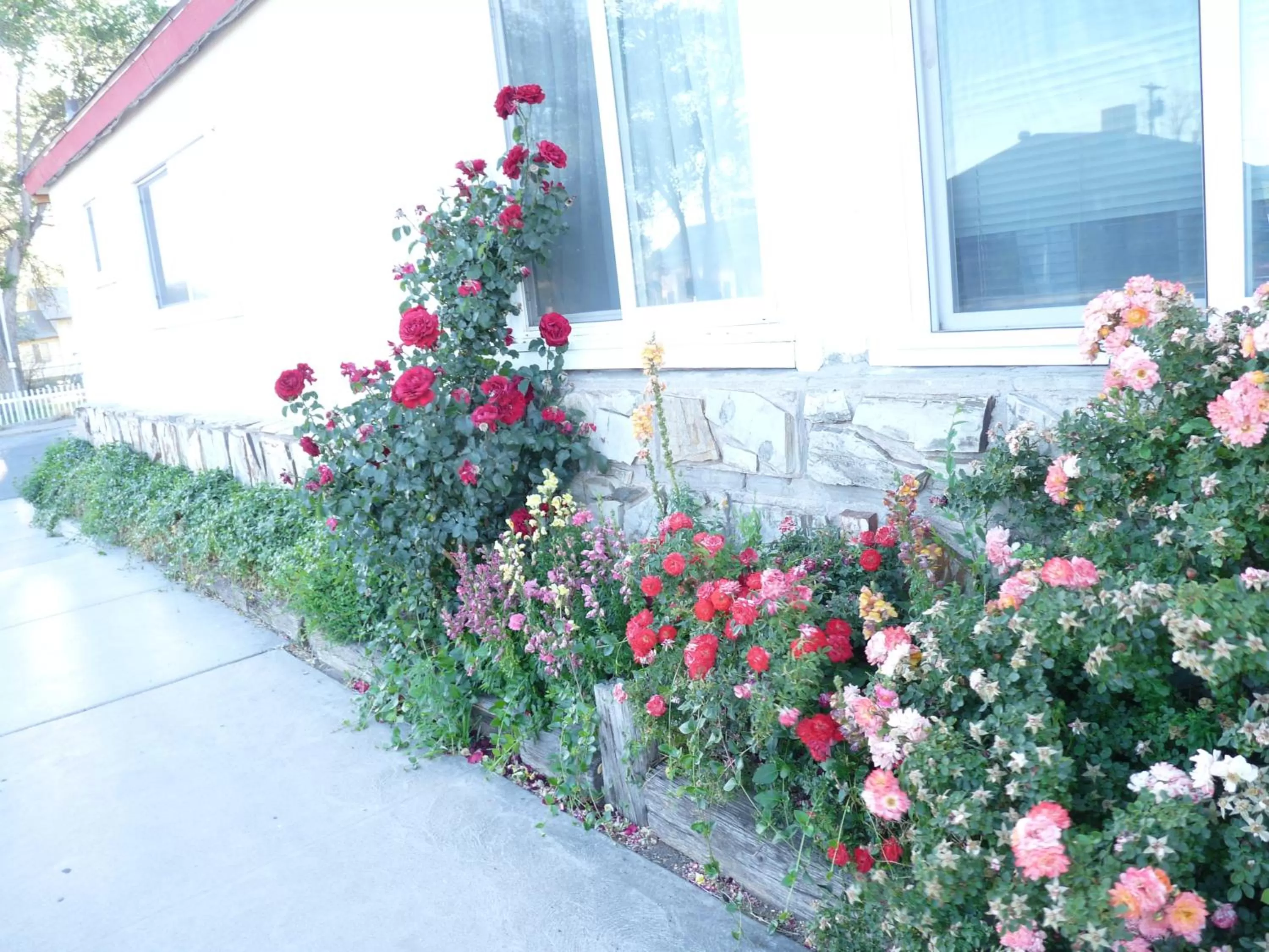 Spring in Supai Motel