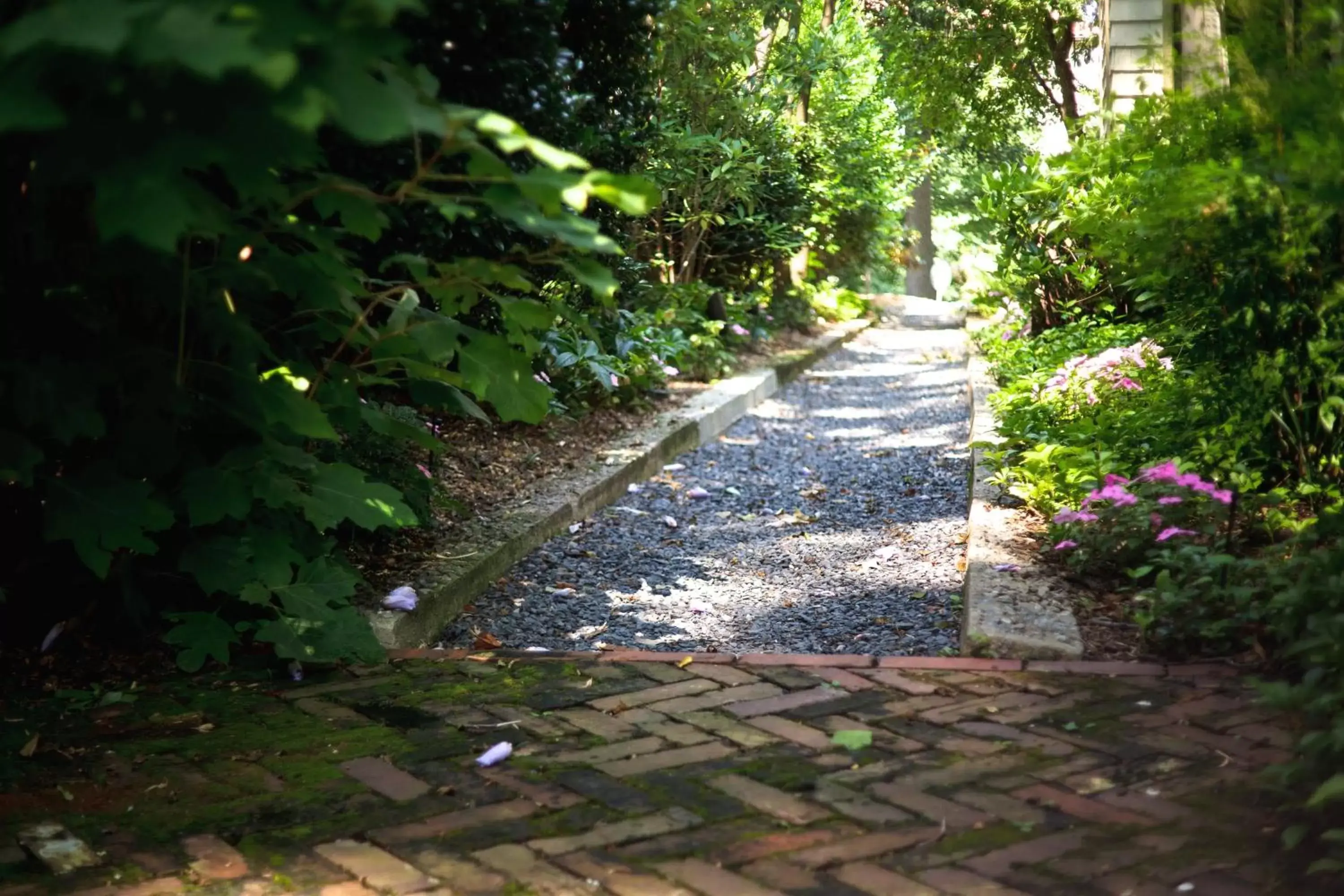 Garden in Stonehurst Place Bed & Breakfast