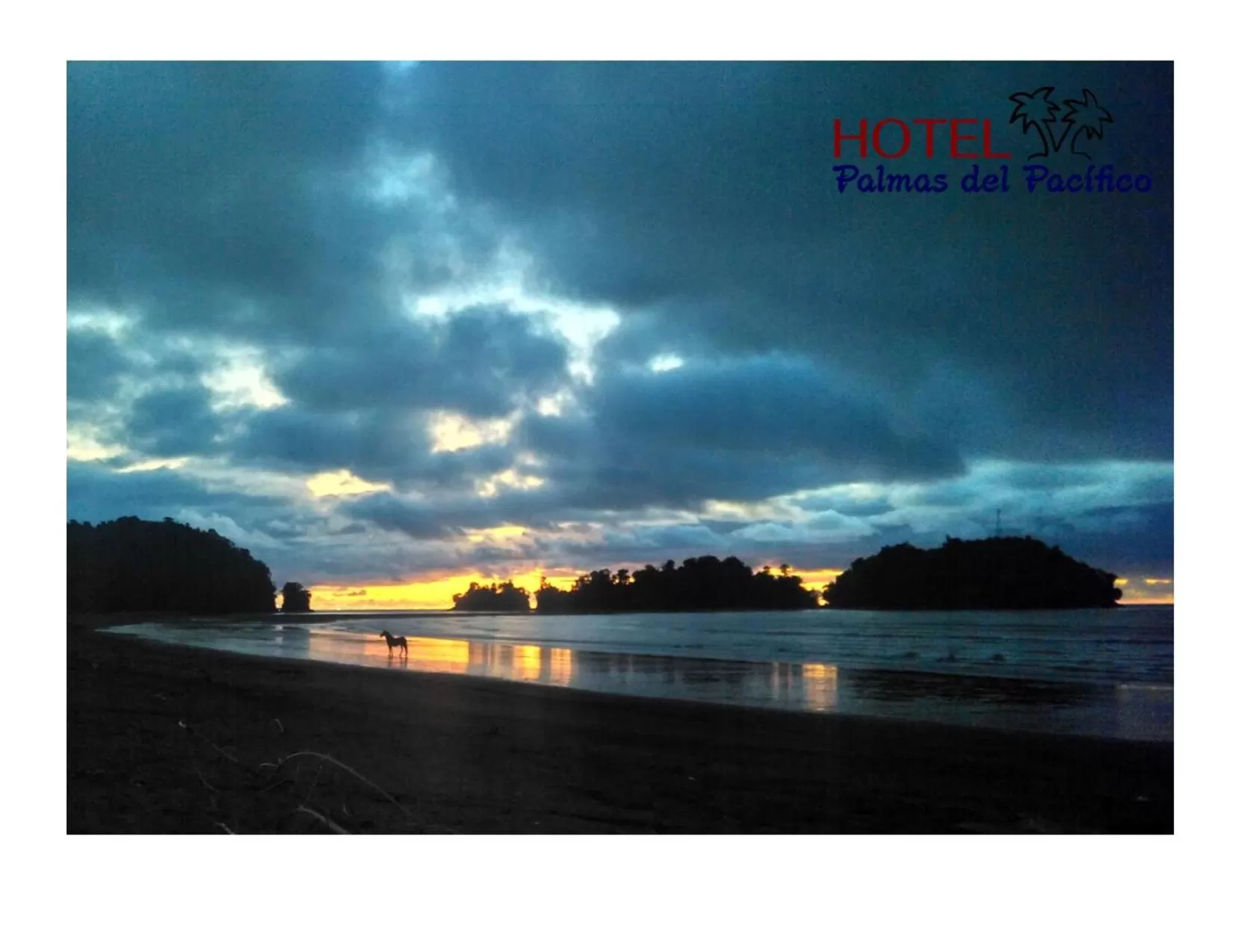 Beach in Hotel Palmas del Pacifico