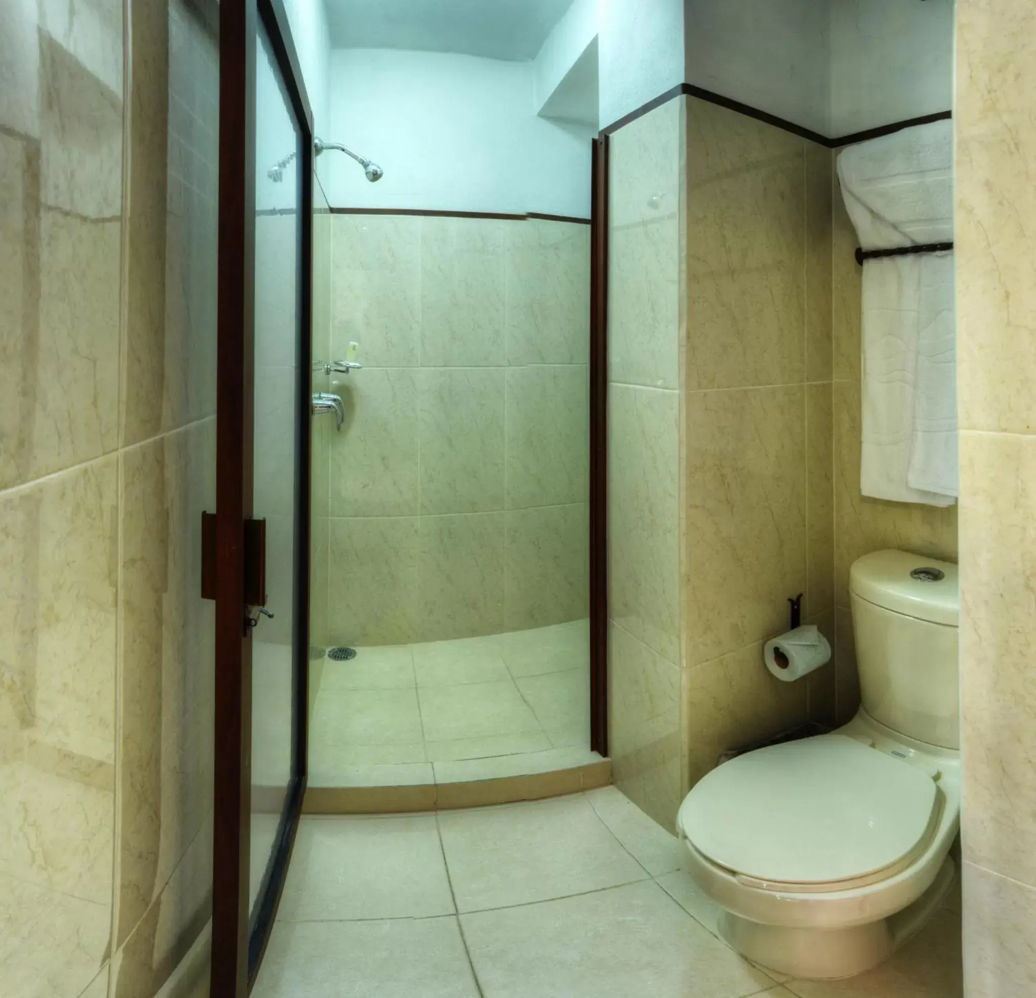 Bathroom in Hotel Posada San Javier