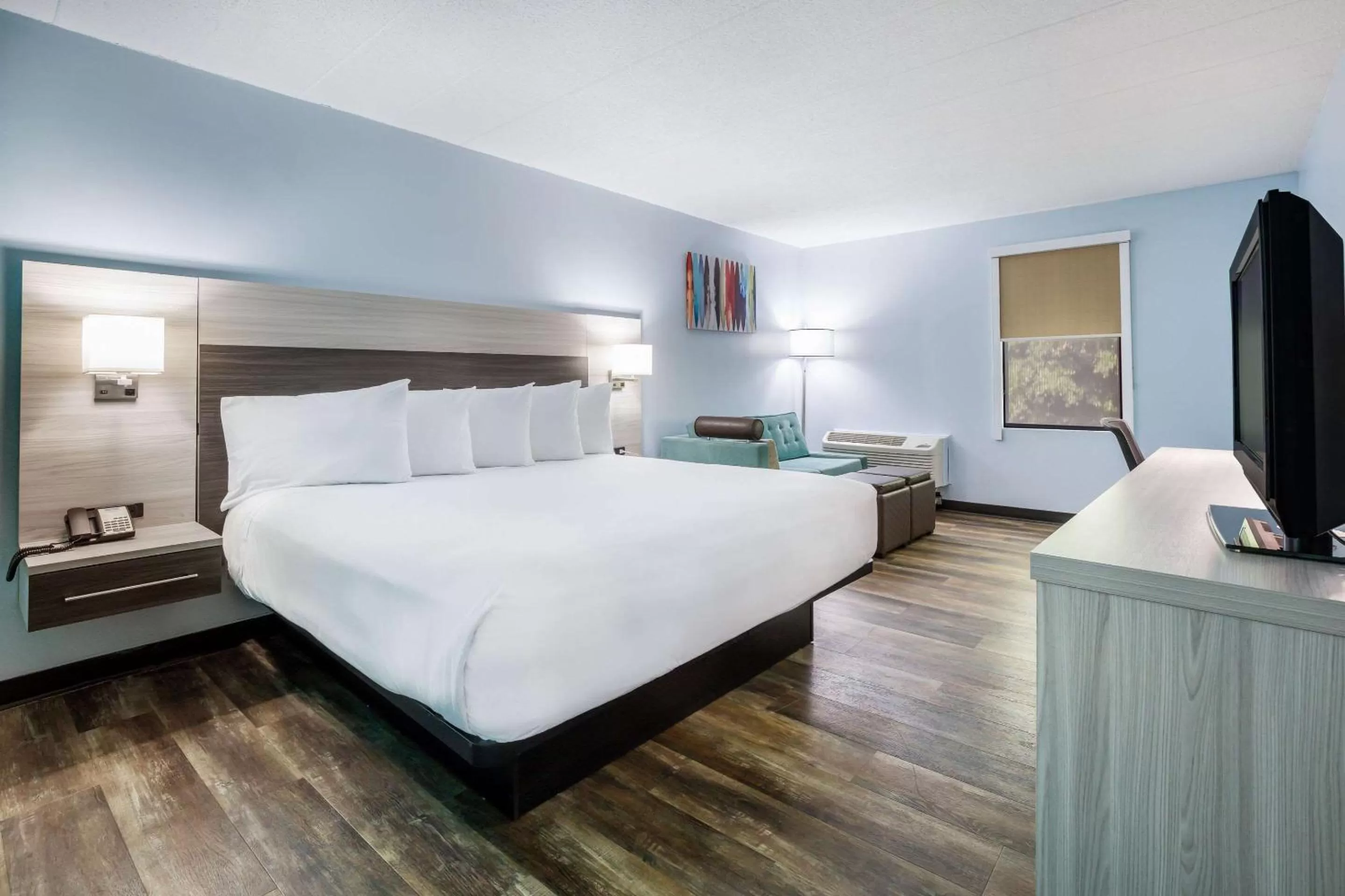 Standard King Room in Rodeway Inn Anderson