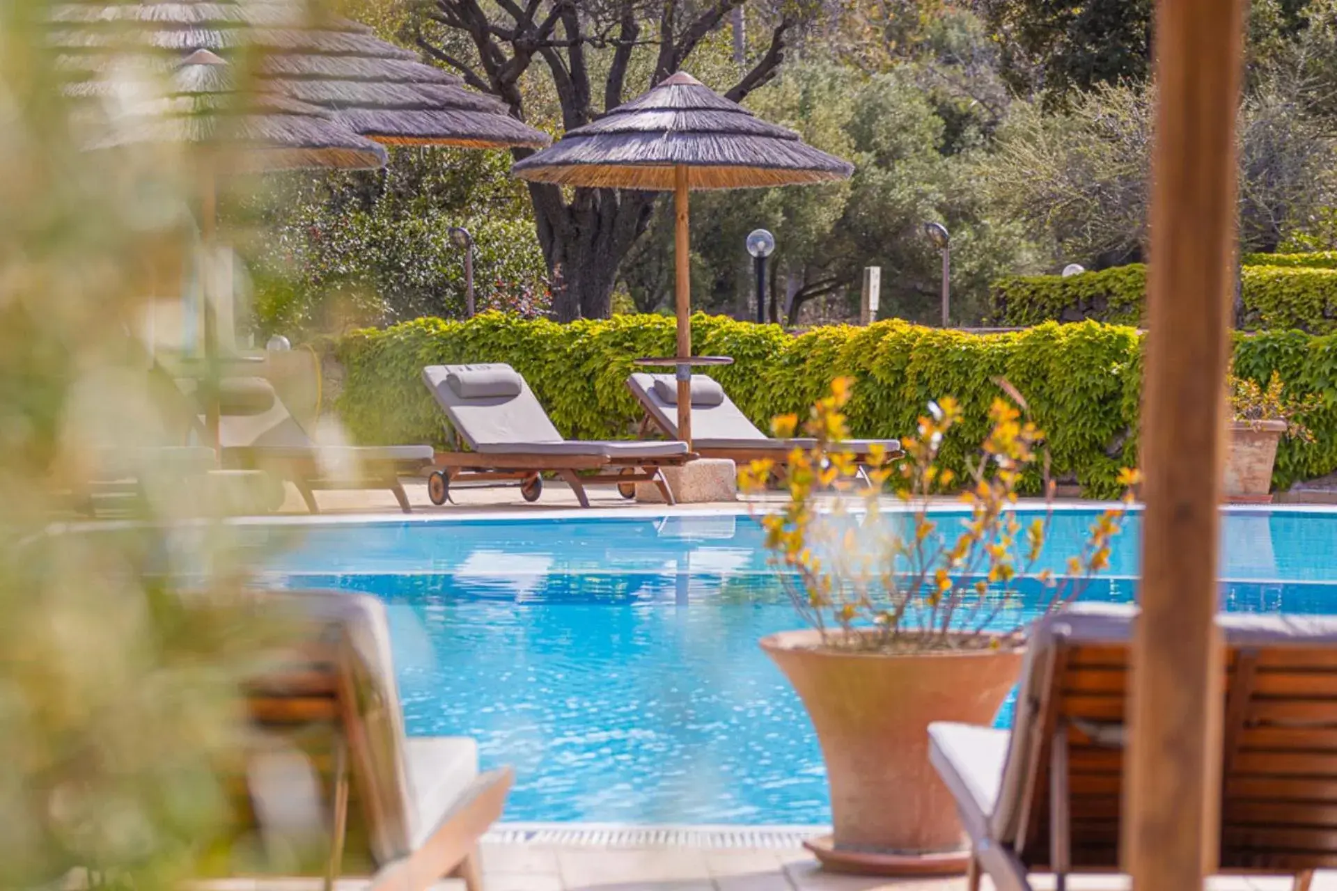 Swimming Pool in Hotel Airone