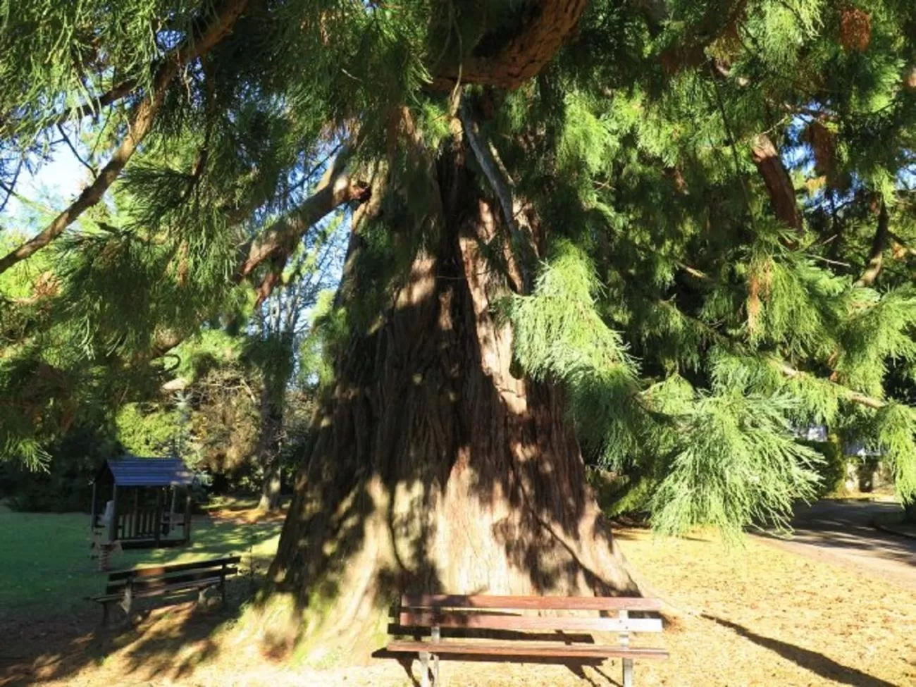 Garden in VILLA BONVOULOIR