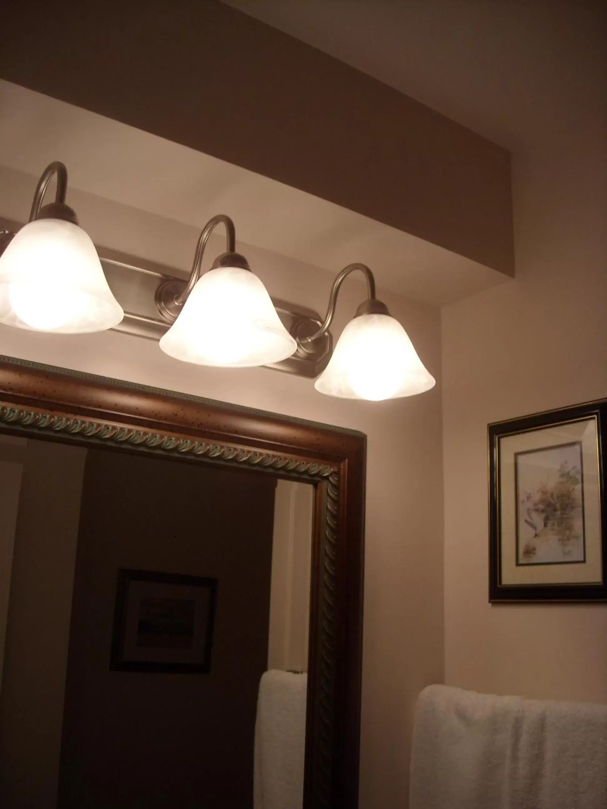 Decorative detail, Bathroom in Hotel Motel Le Château