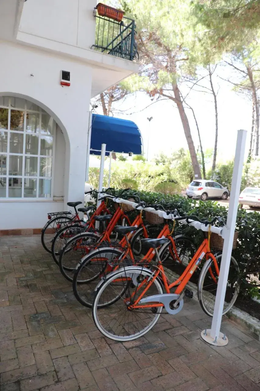 Cycling in Hotel Artemide Mare