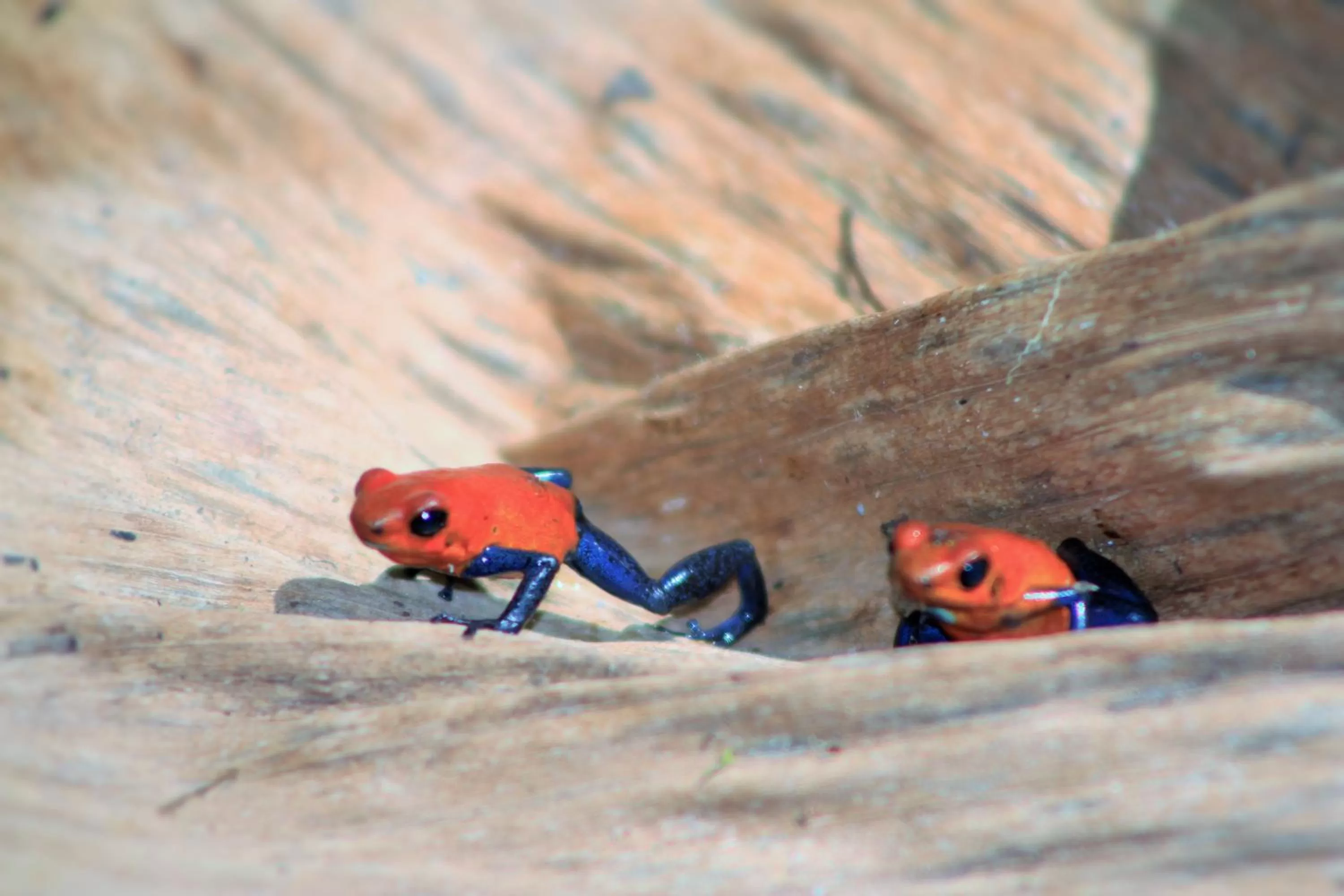 Area and facilities in Hotel Monte Real