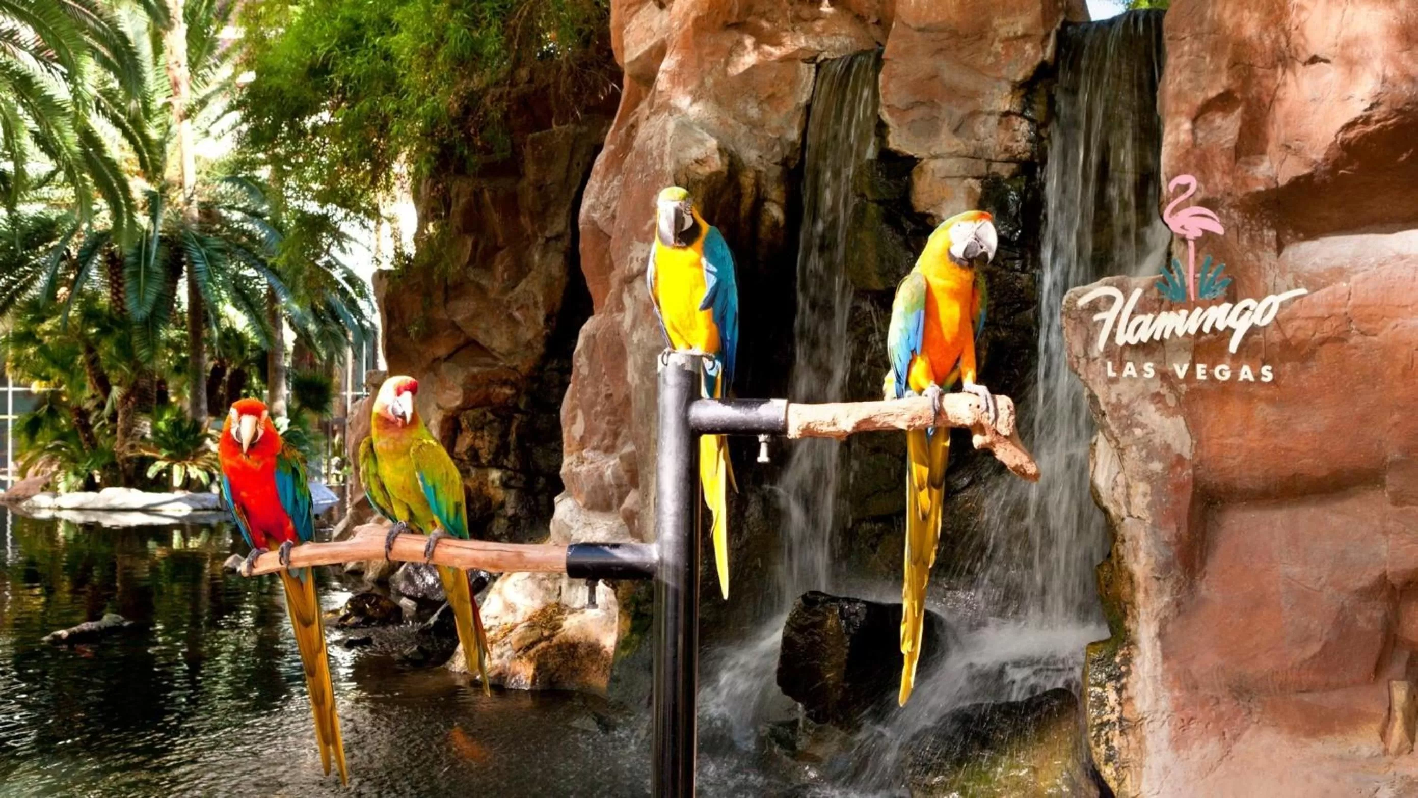 Garden in Flamingo Las Vegas Hotel & Casino