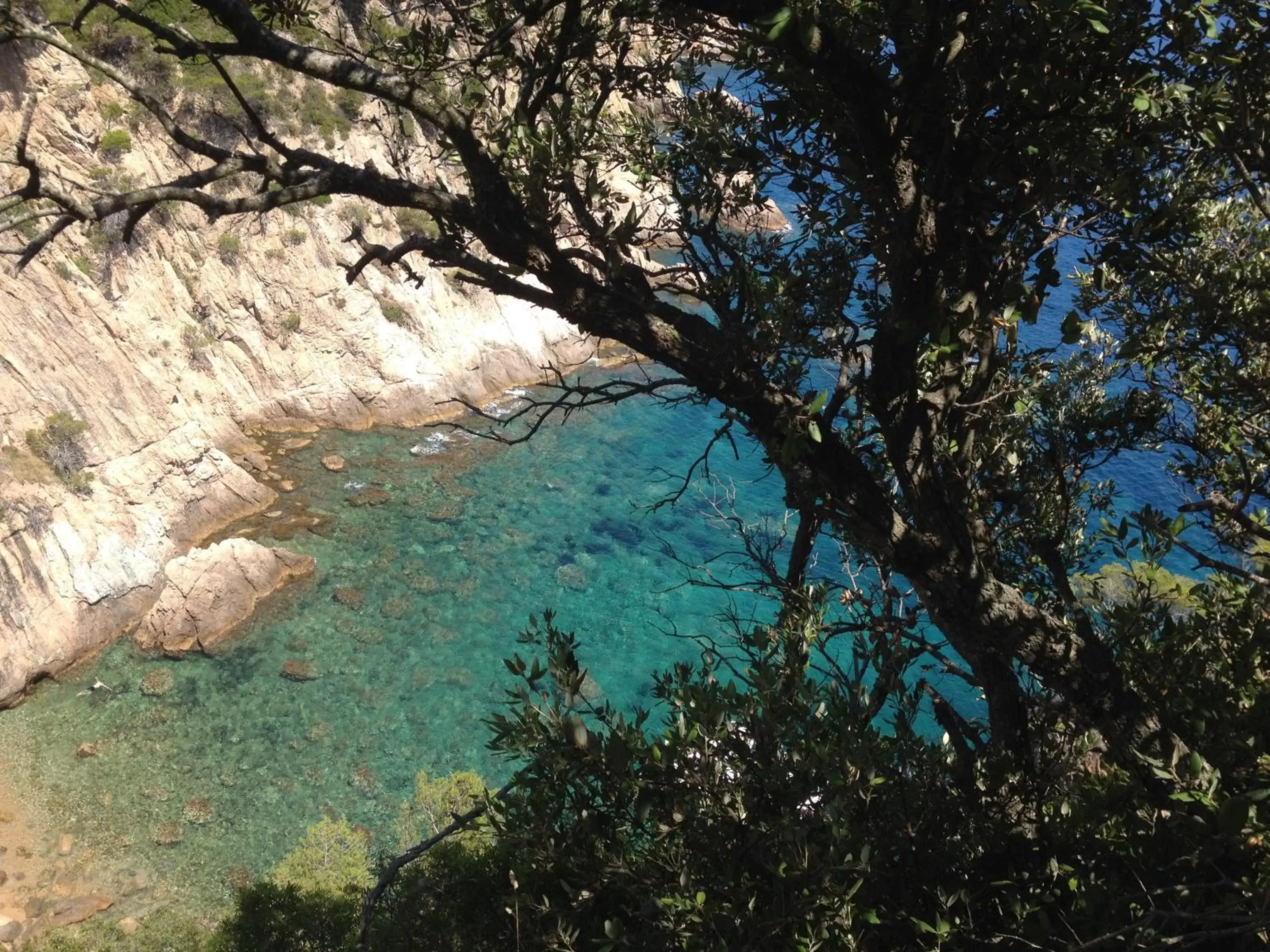 Natural landscape in Gran Hotel Reymar