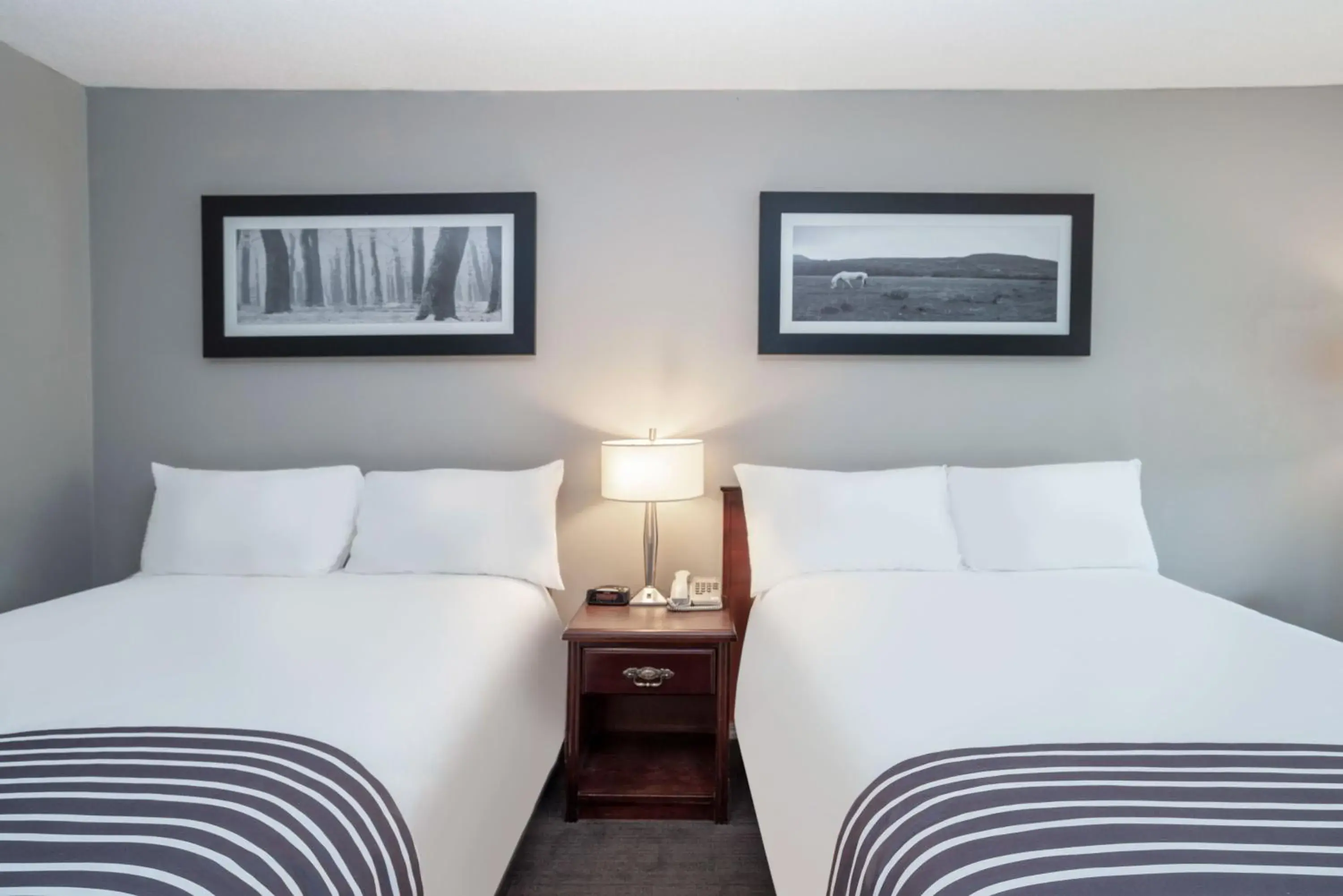 Photo of the whole room, Bed in Sandman Inn Cache Creek Photo of the whole room, Bed in Sandman Inn Cache Creek