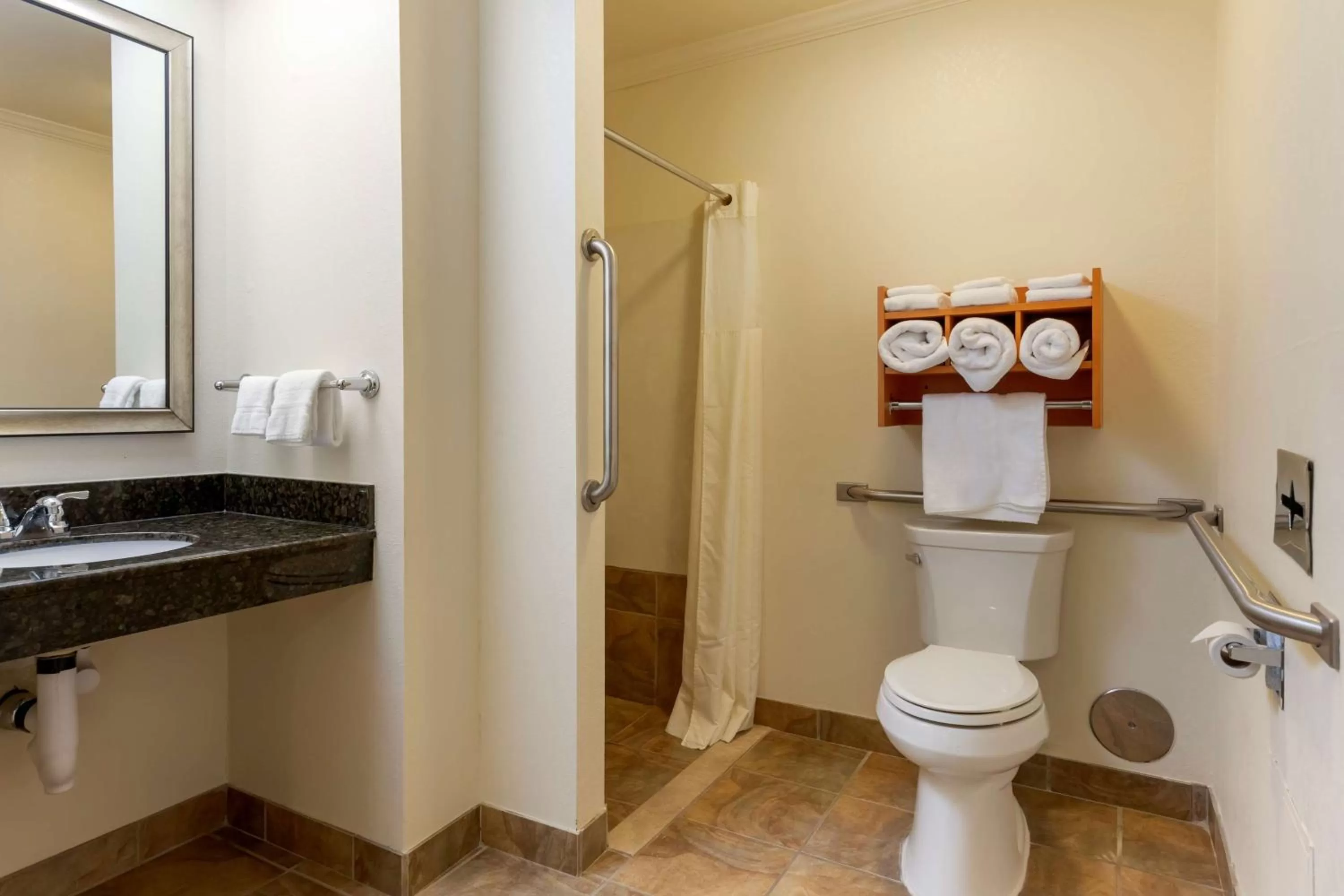 Bathroom in Best Western Davison Inn