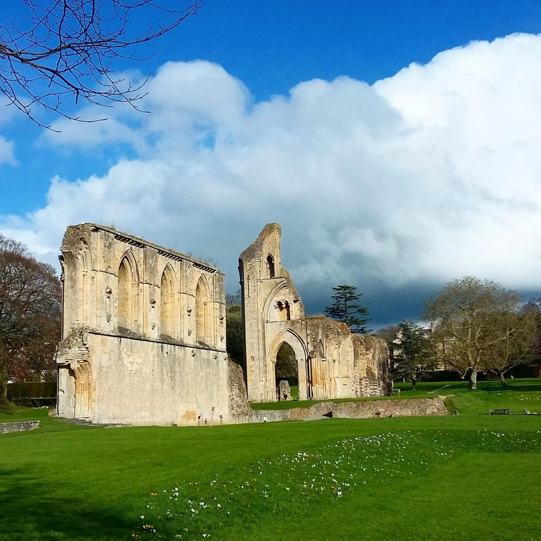 Area and facilities in AROHA