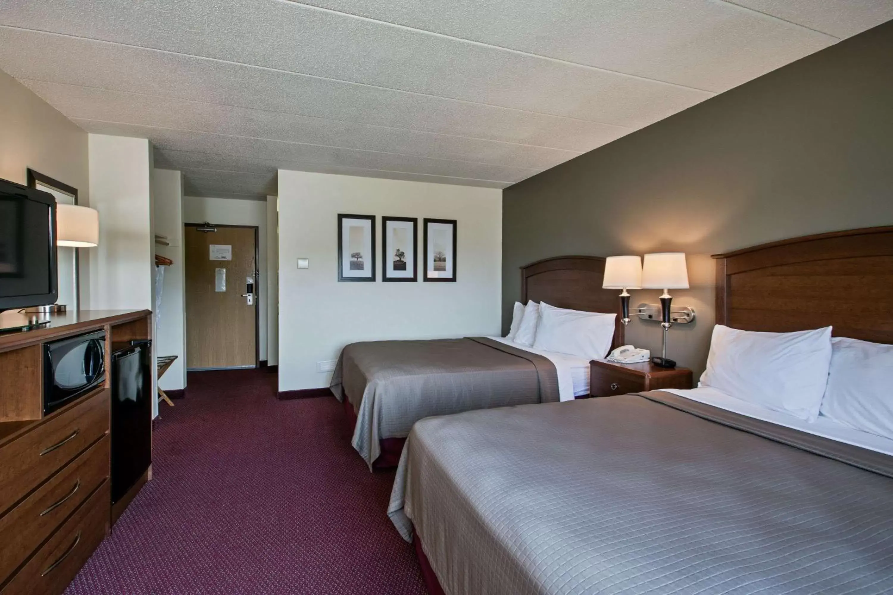 Photo of the whole room, Bed in AmericInn by Wyndham Iowa Falls