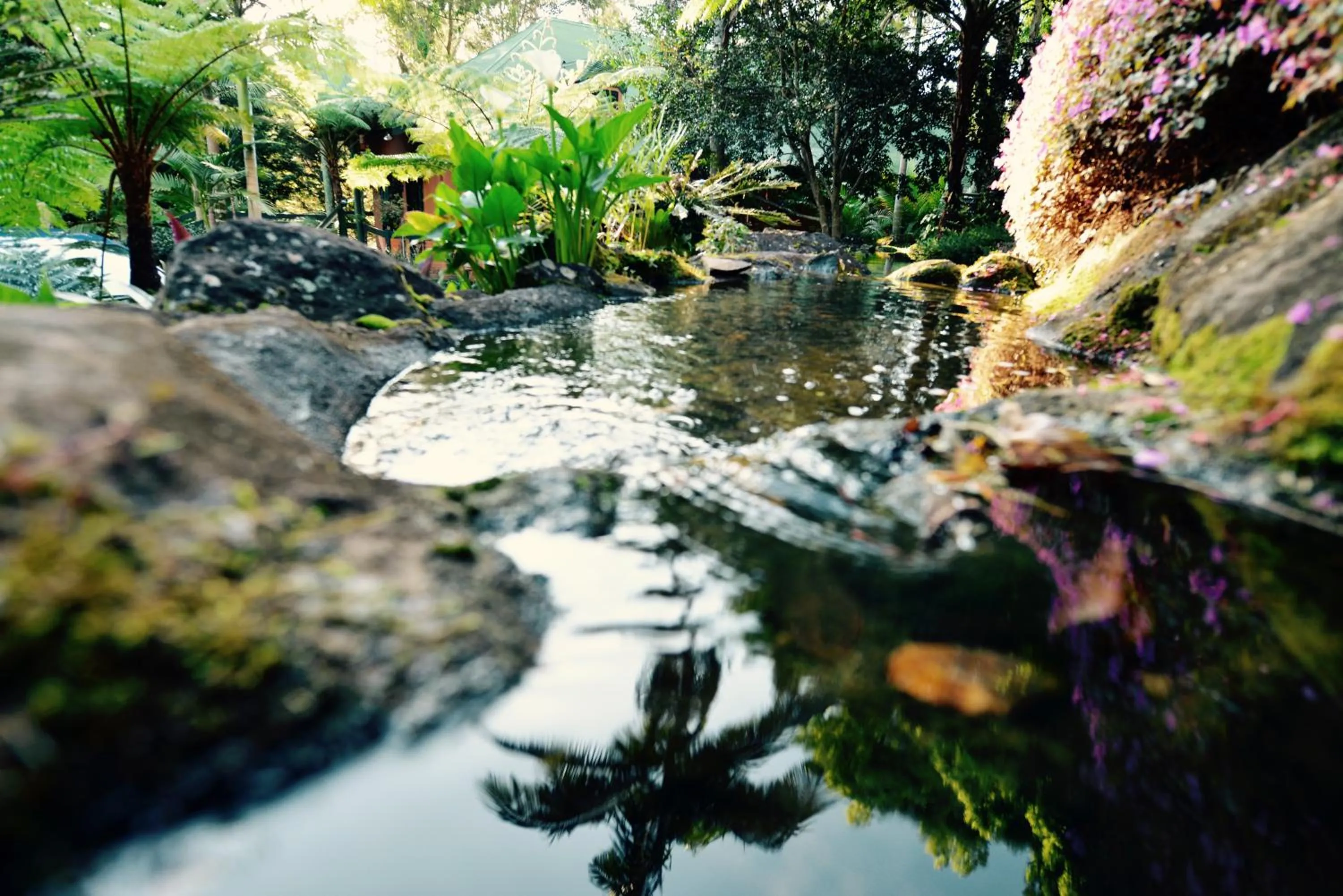 Spring in Escarpment Retreat & Day Spa for Couples