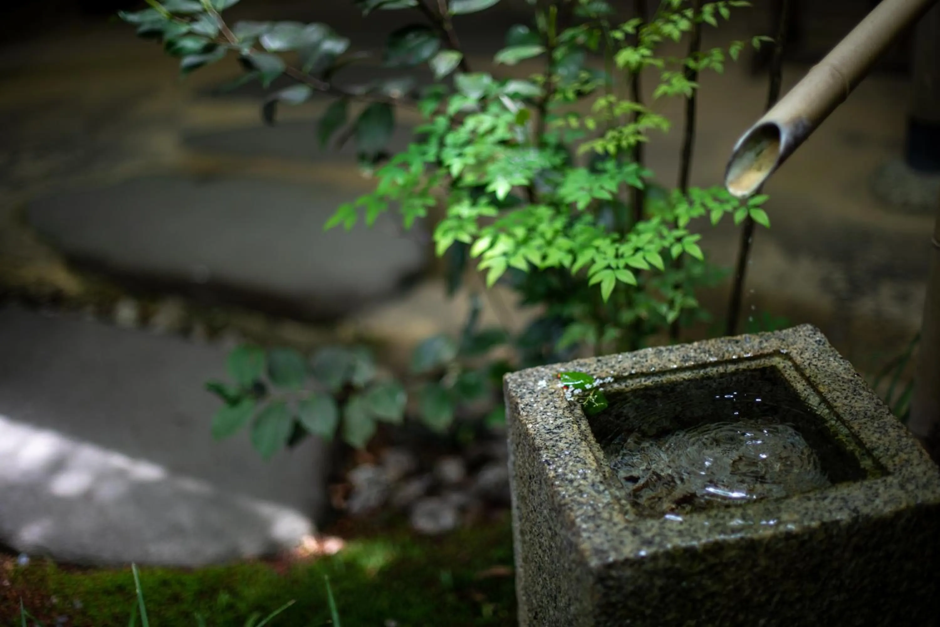 Area and facilities in Oyado Ichizen