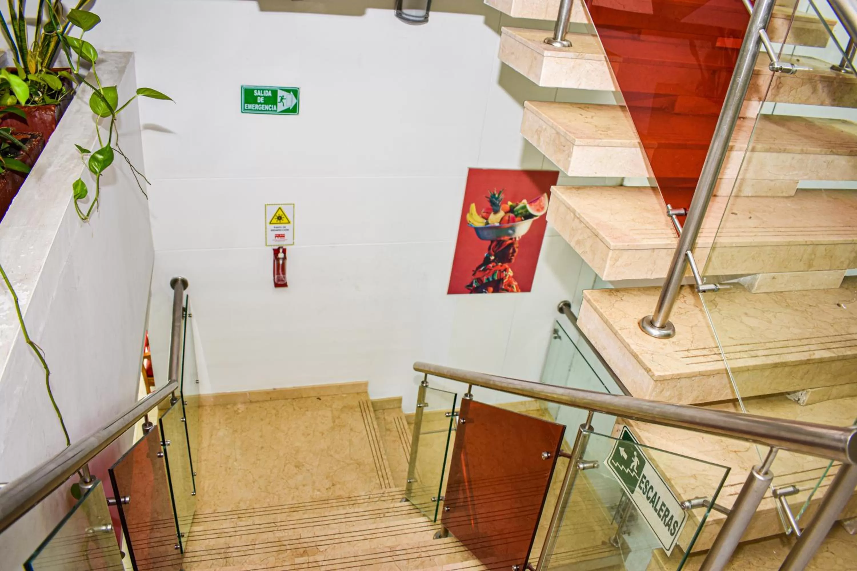 Garden in Hotel Isla Capri