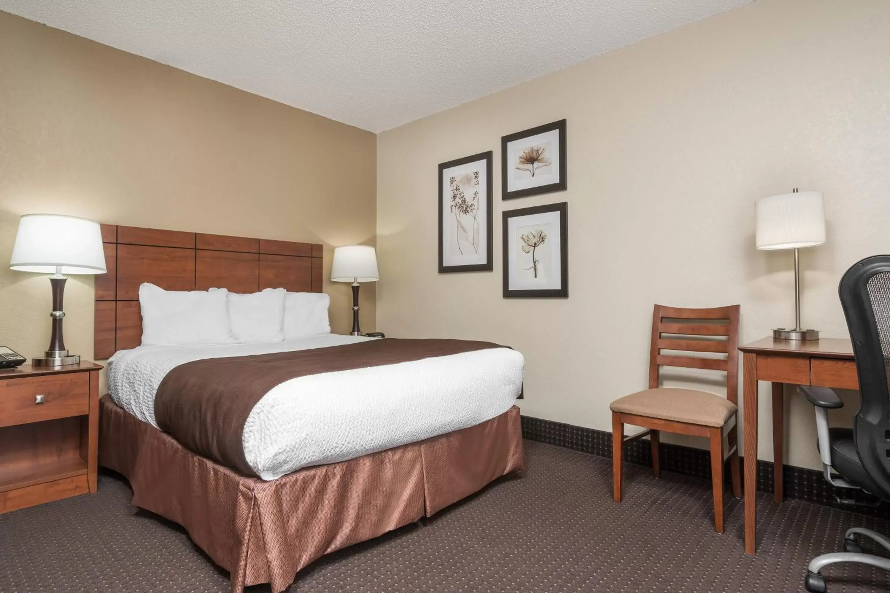 Photo of the whole room, Room Photo in AmericInn by Wyndham Lake City