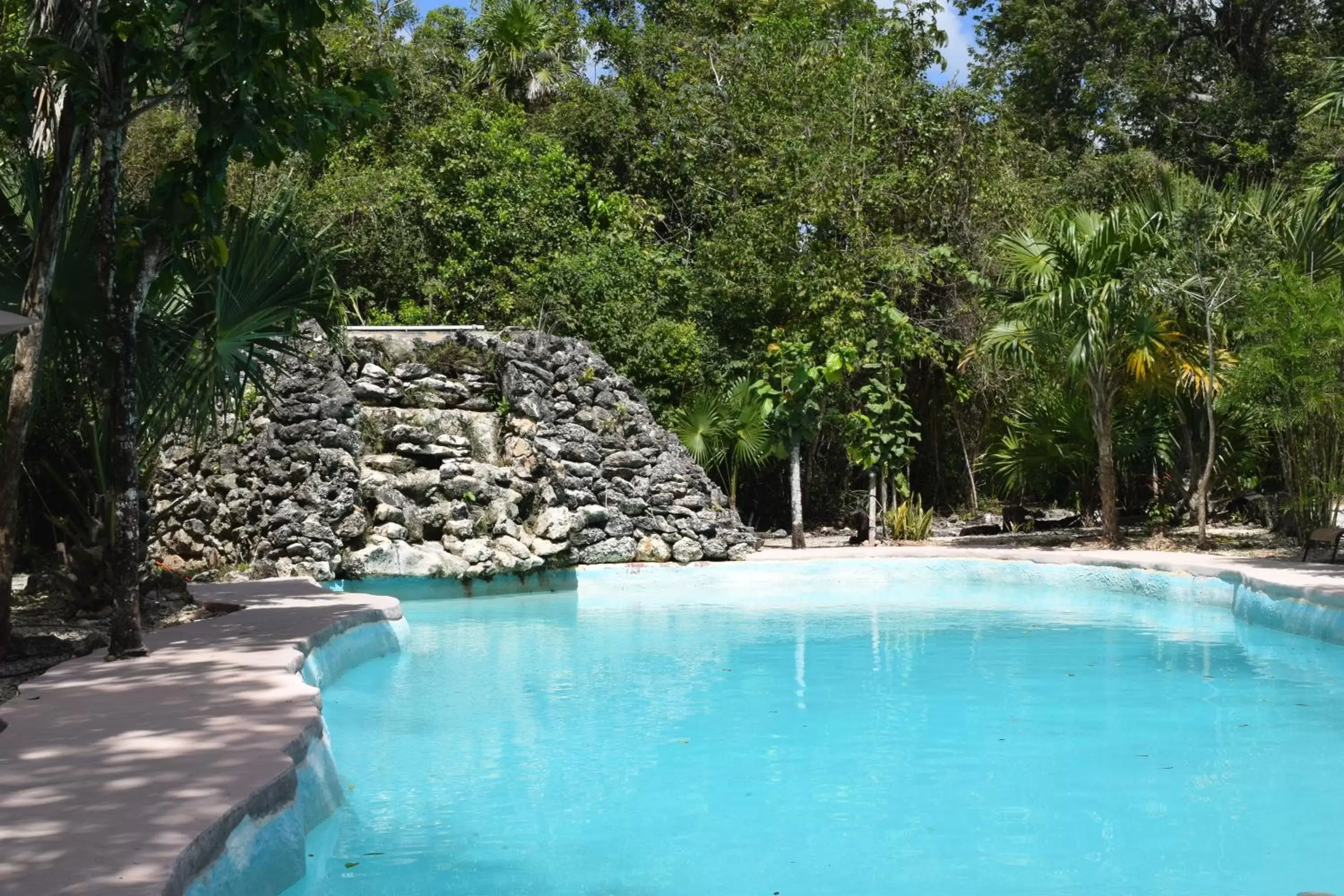 Natural landscape, Swimming Pool in Jolie Jungle Eco Hotel