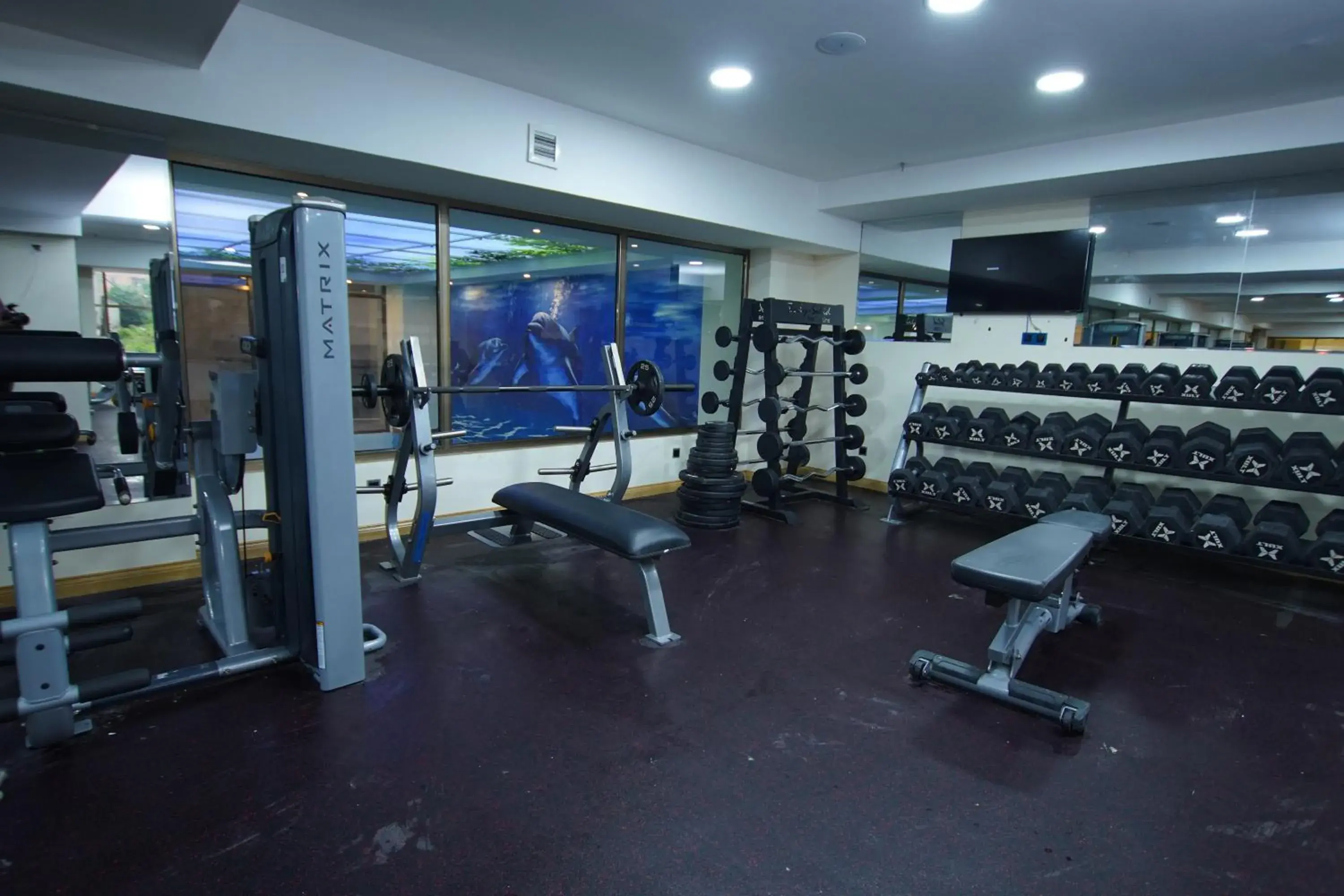 Fitness centre/facilities, Fitness Center/Facilities in Best Western Premier Dynasty