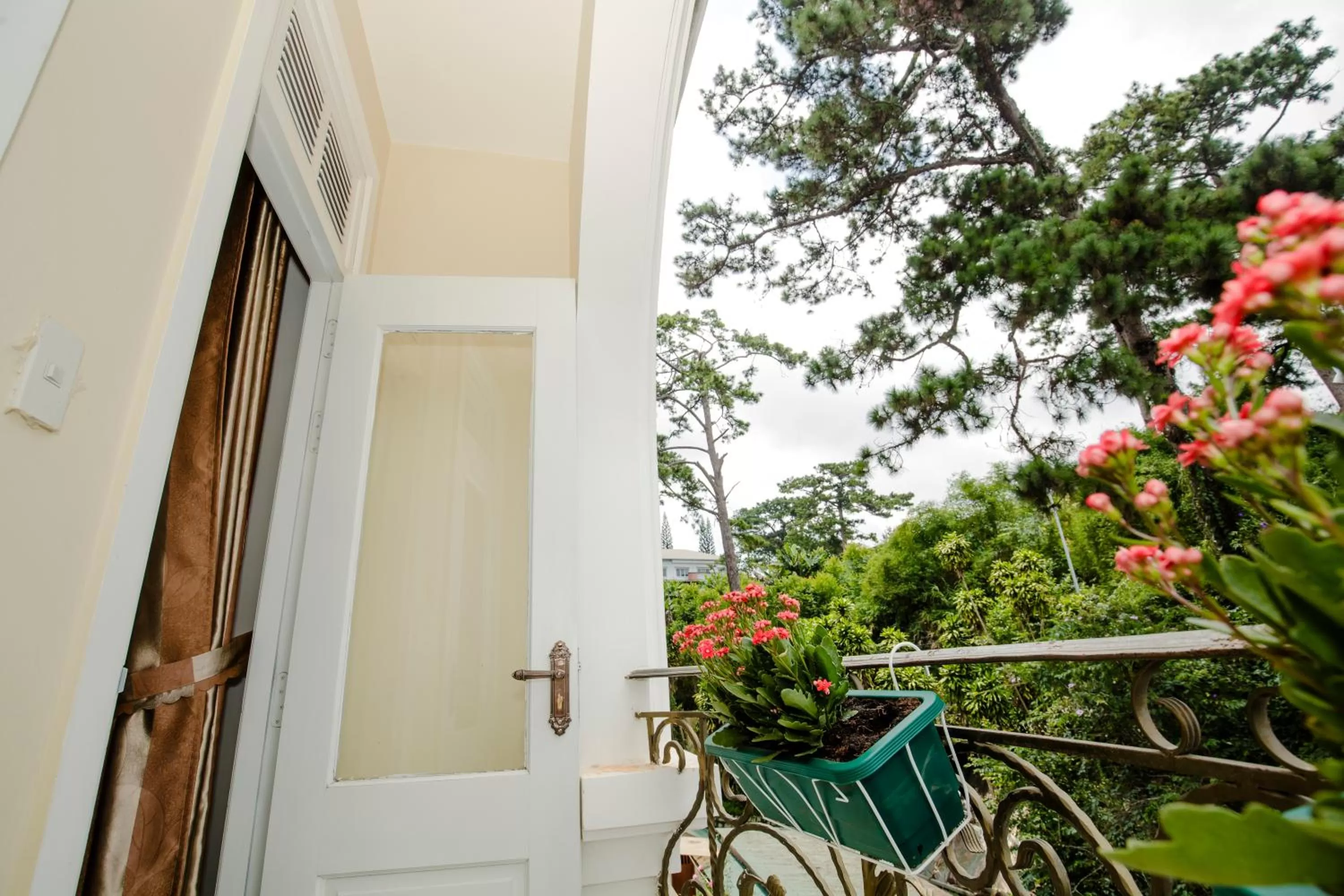 Day in Conico Đà Lạt Hotel