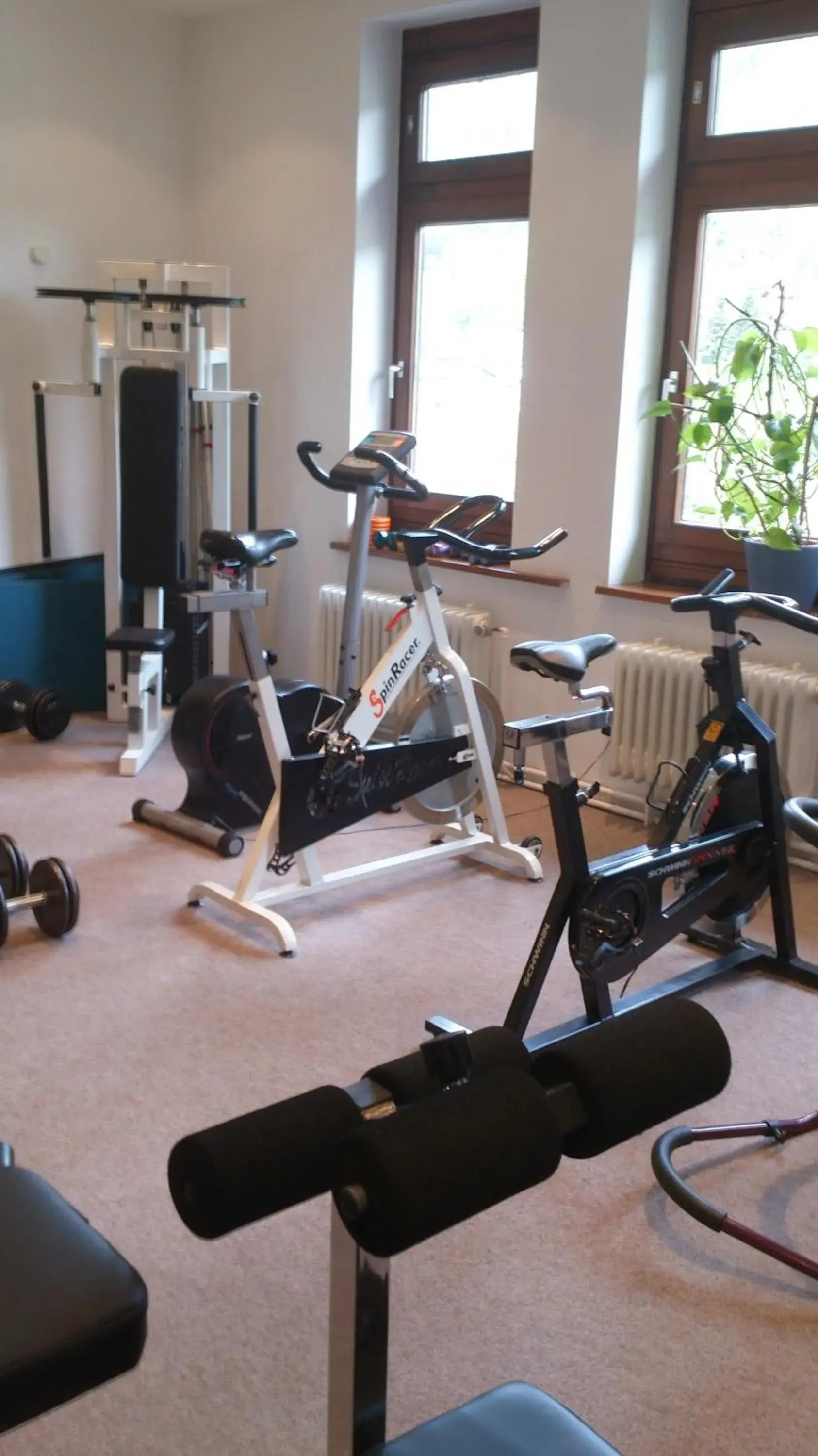 Fitness centre/facilities, Fitness Center/Facilities in Hotel Bergfrieden