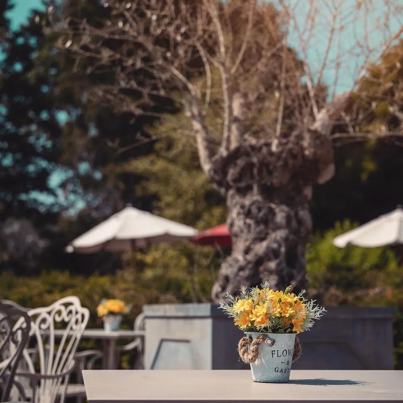 Balcony/Terrace in The Stanneylands