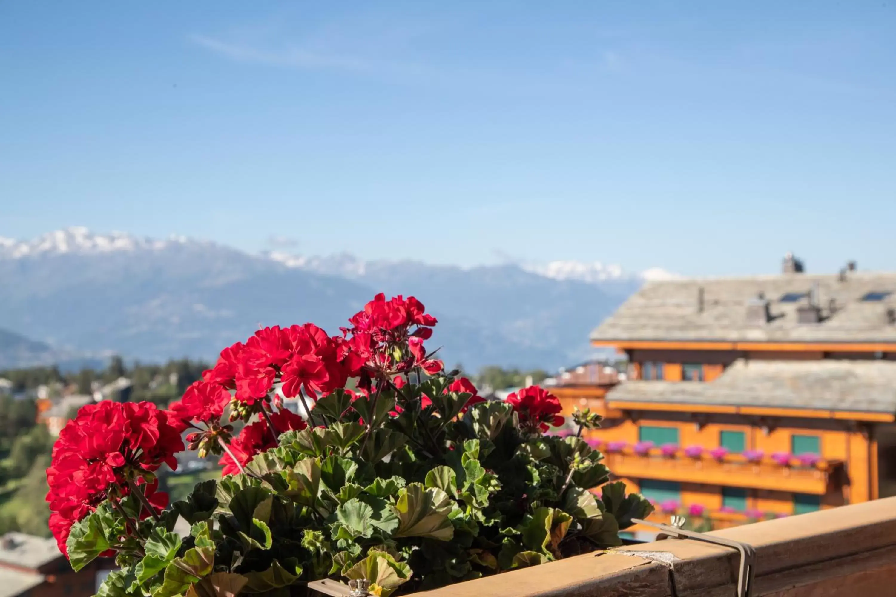 View (from property/room), Mountain View in Hotel Ad'Eldorado