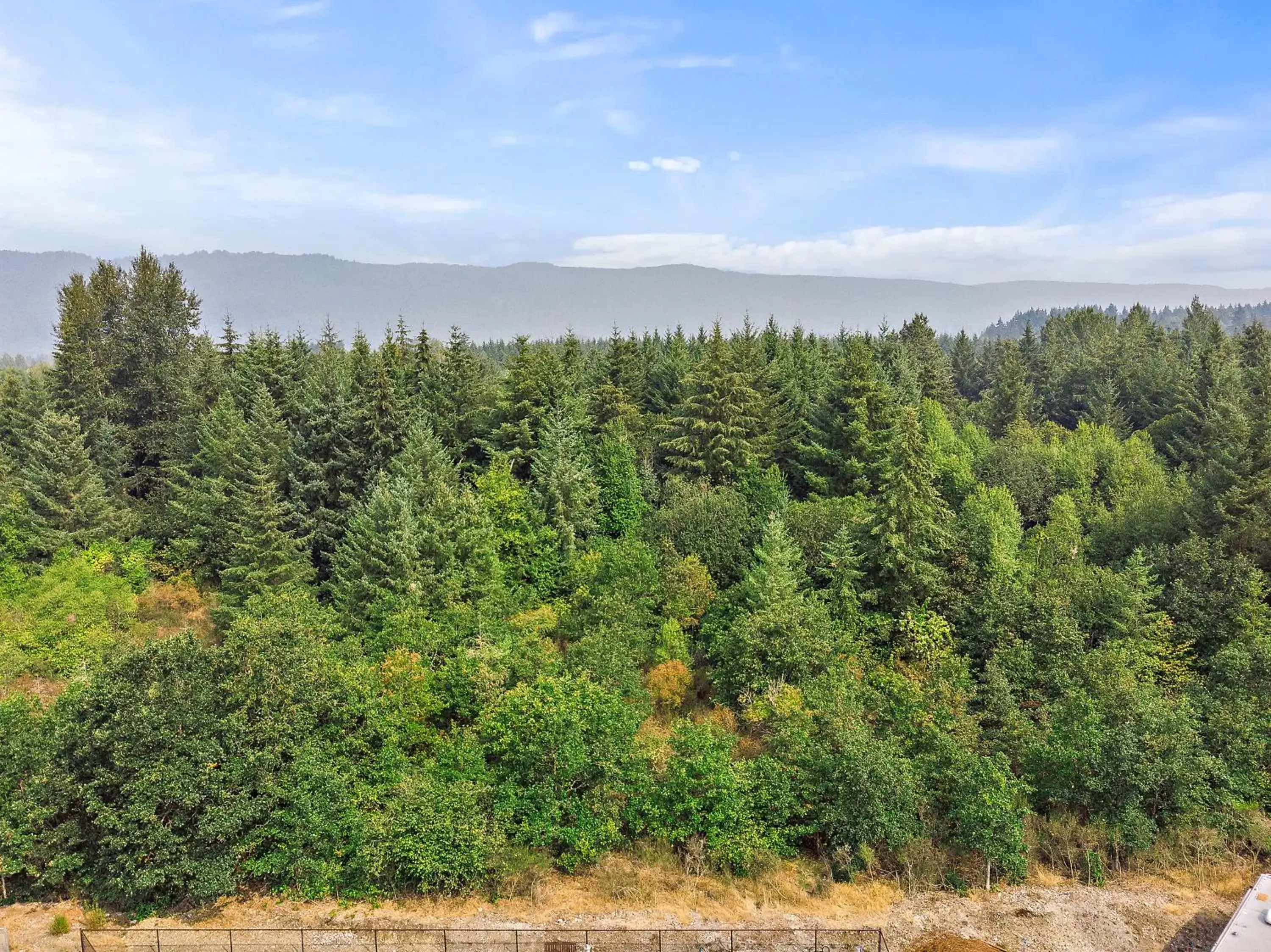 Garden view in Lucky Eagle Casino & Hotel (Washington) Garden view in Lucky Eagle Casino & Hotel (Washington)