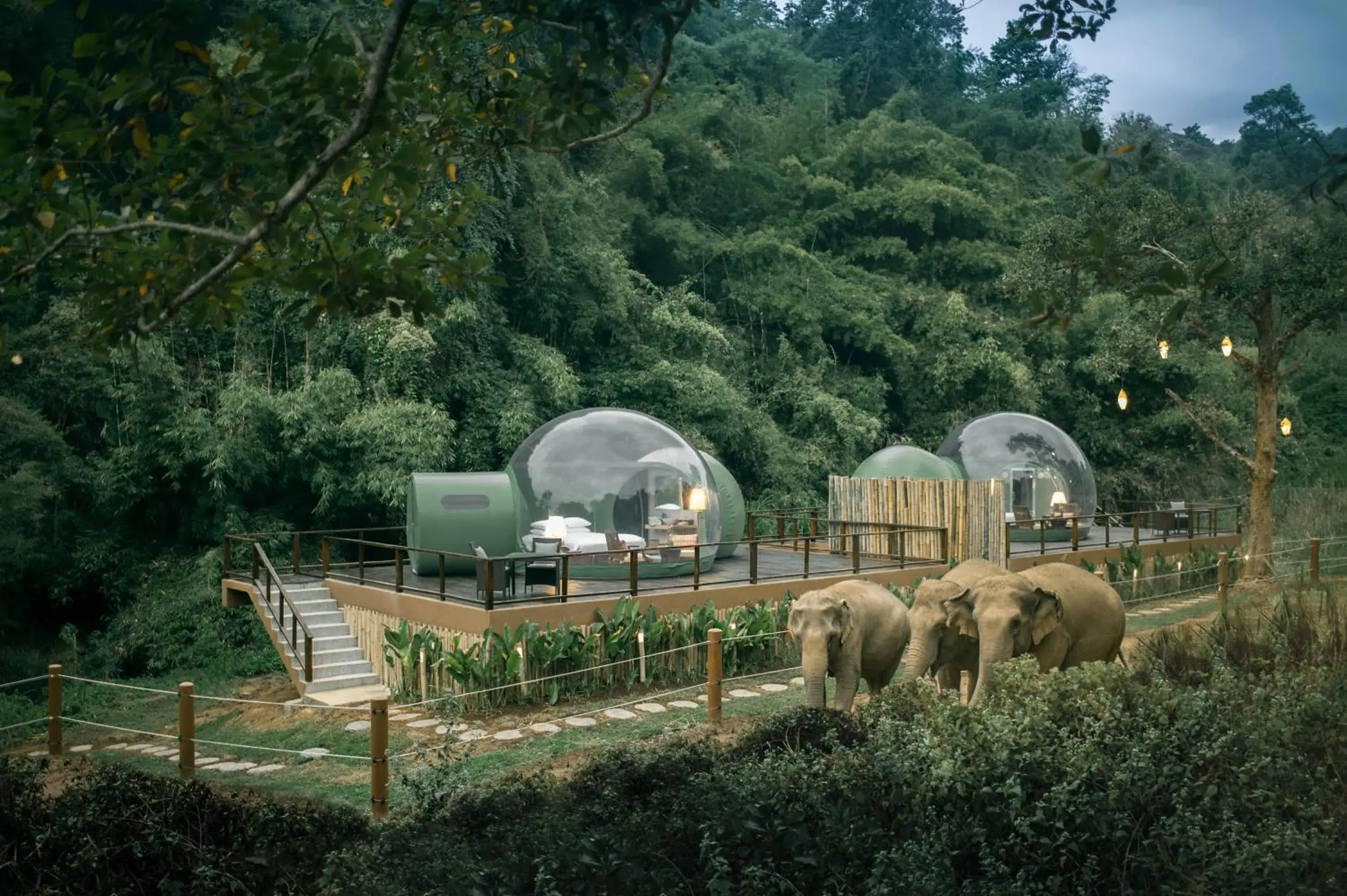 Activities in Anantara Golden Triangle Elephant Camp & Resort