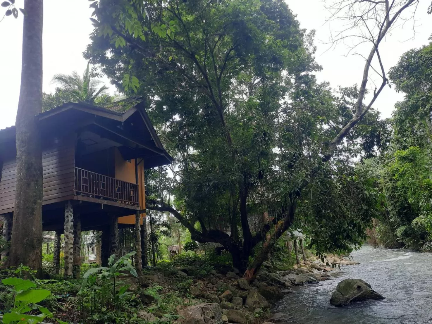 Tree Tops River Huts