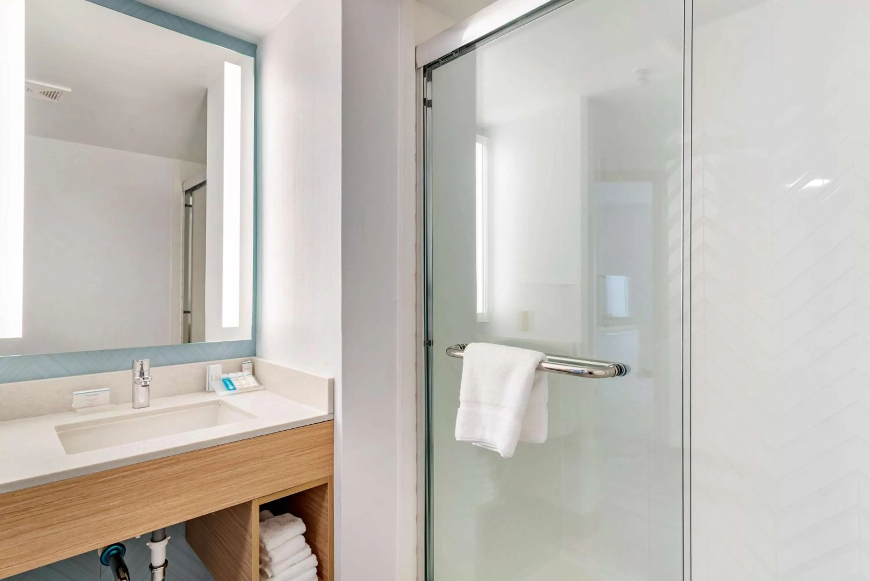 Bathroom in Hilton Garden Inn Atlanta Northeast/Gwinnett Sugarloaf