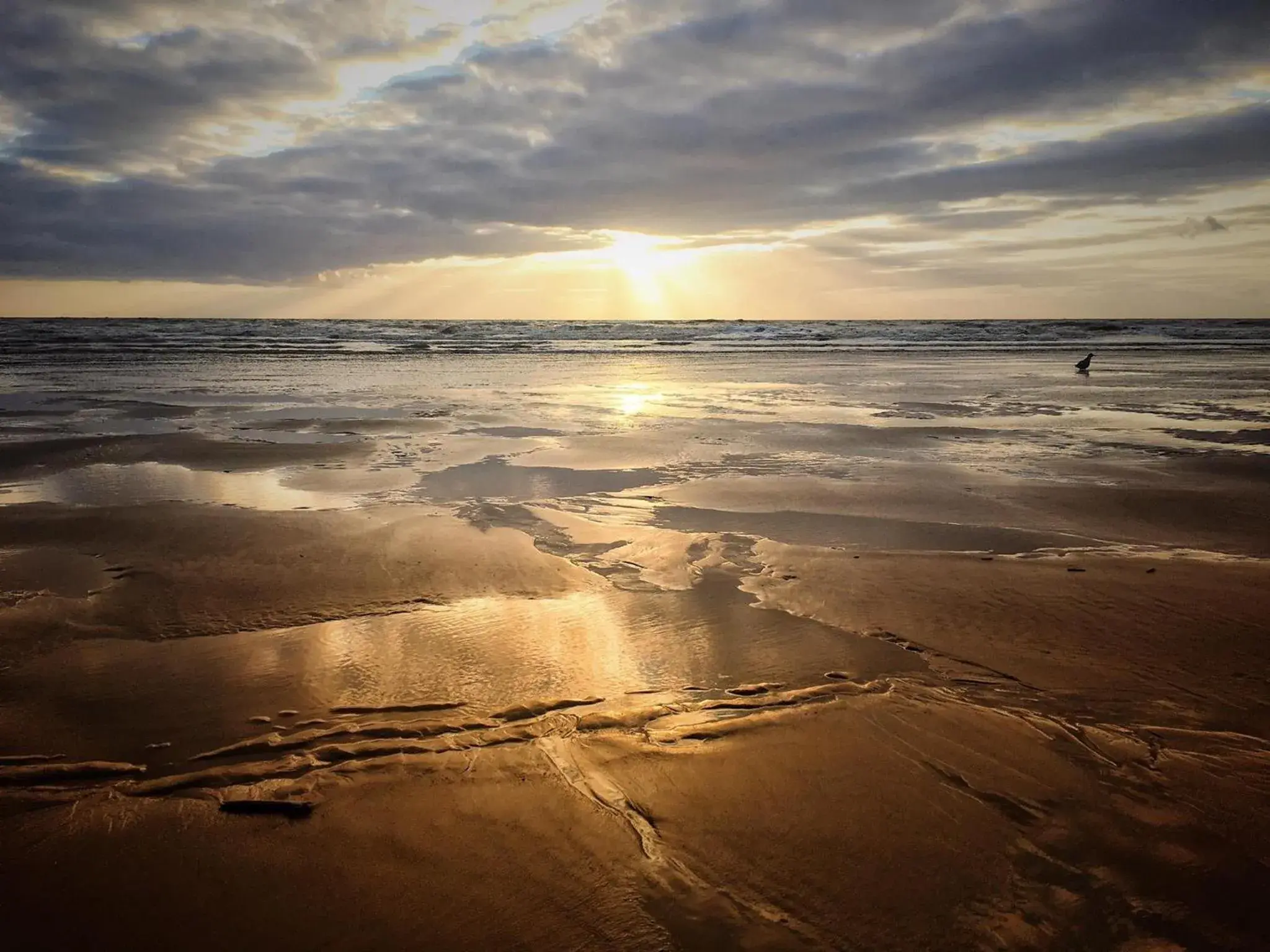 Natural landscape, Beach in Canasta Hotel