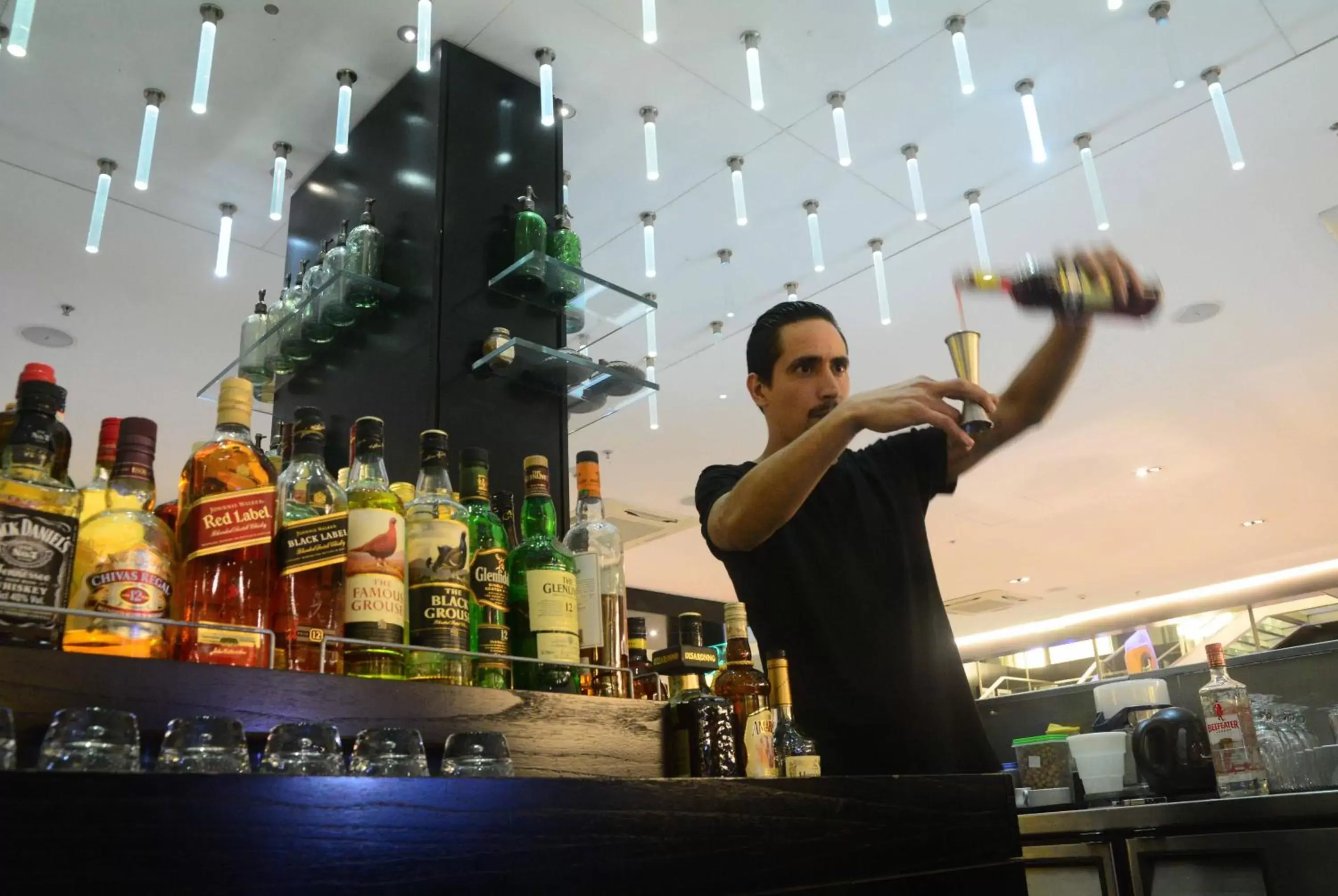 Lounge or bar in Novotel Buenos Aires