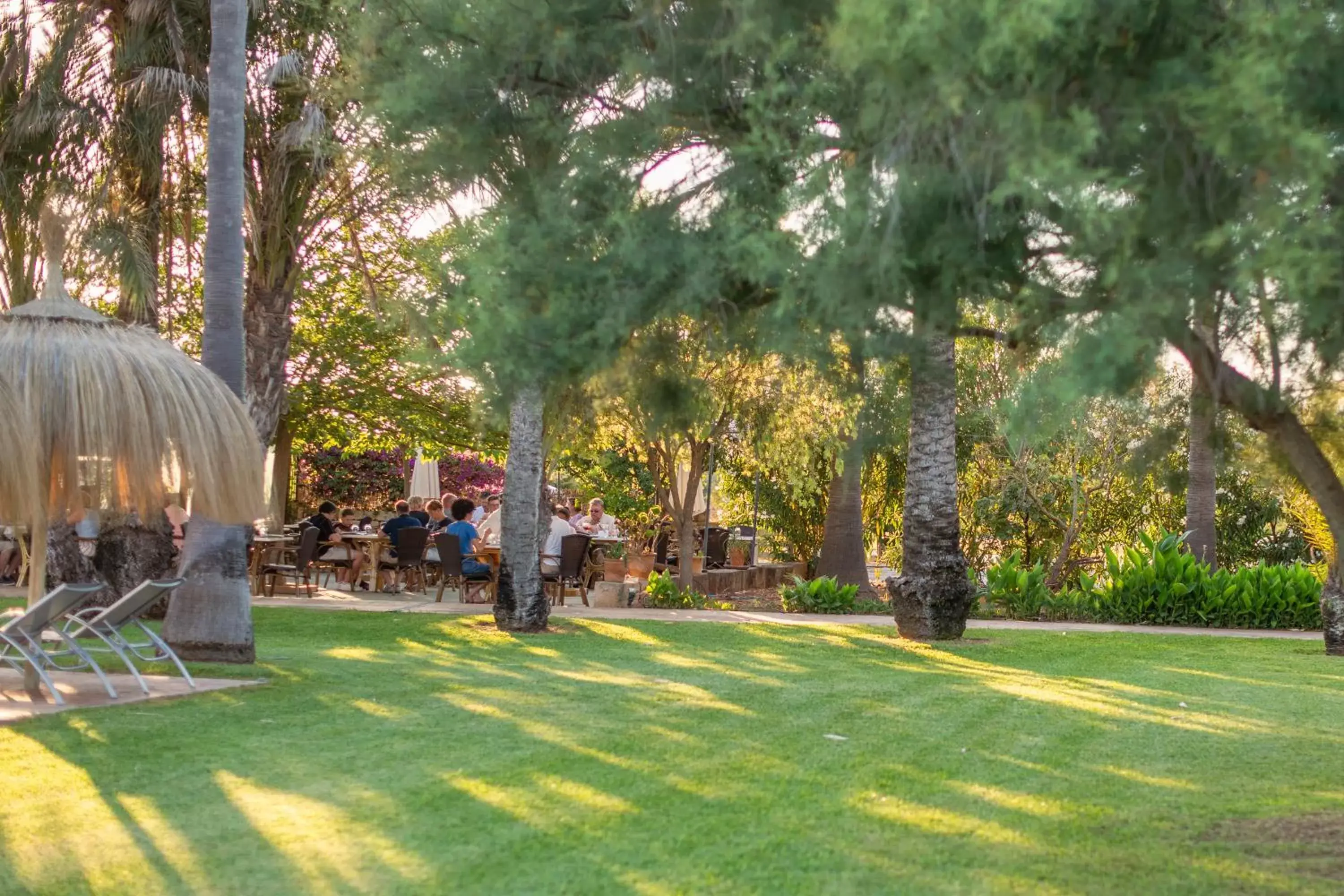 Garden in Finca Hotel Can Canals & Spa