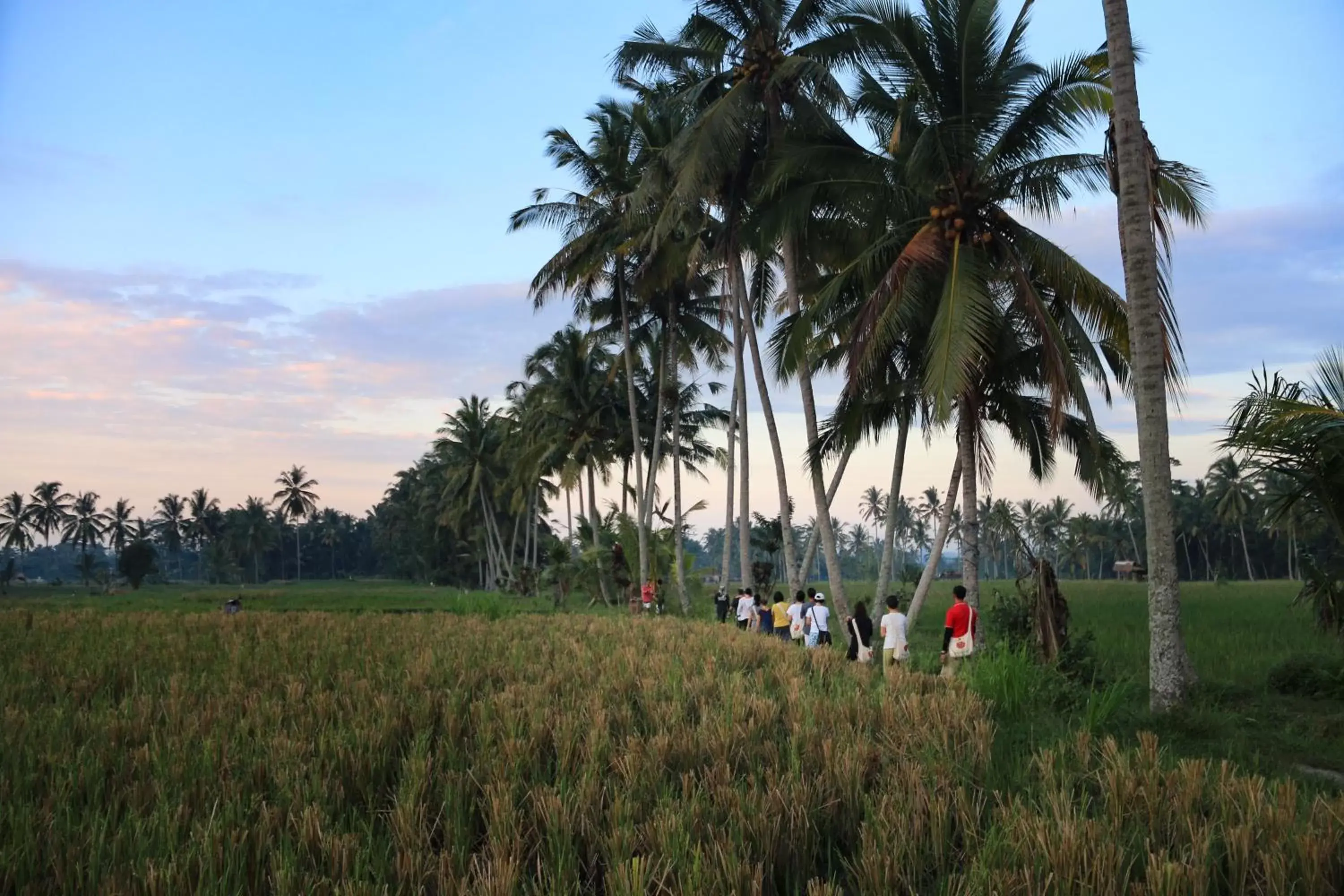 Natural landscape in Om Ham Retreat and Resort