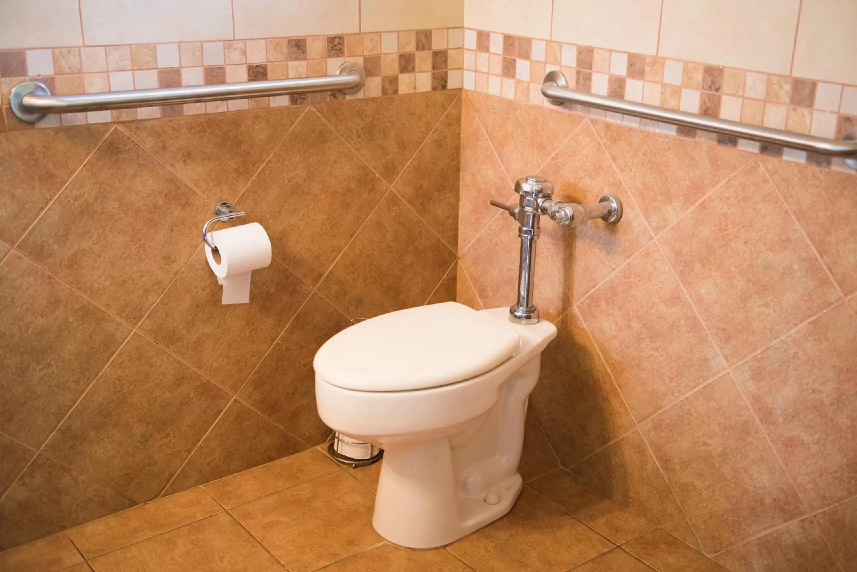 Toilet, Bathroom in Pumilio Mountain & Ocean Hotel