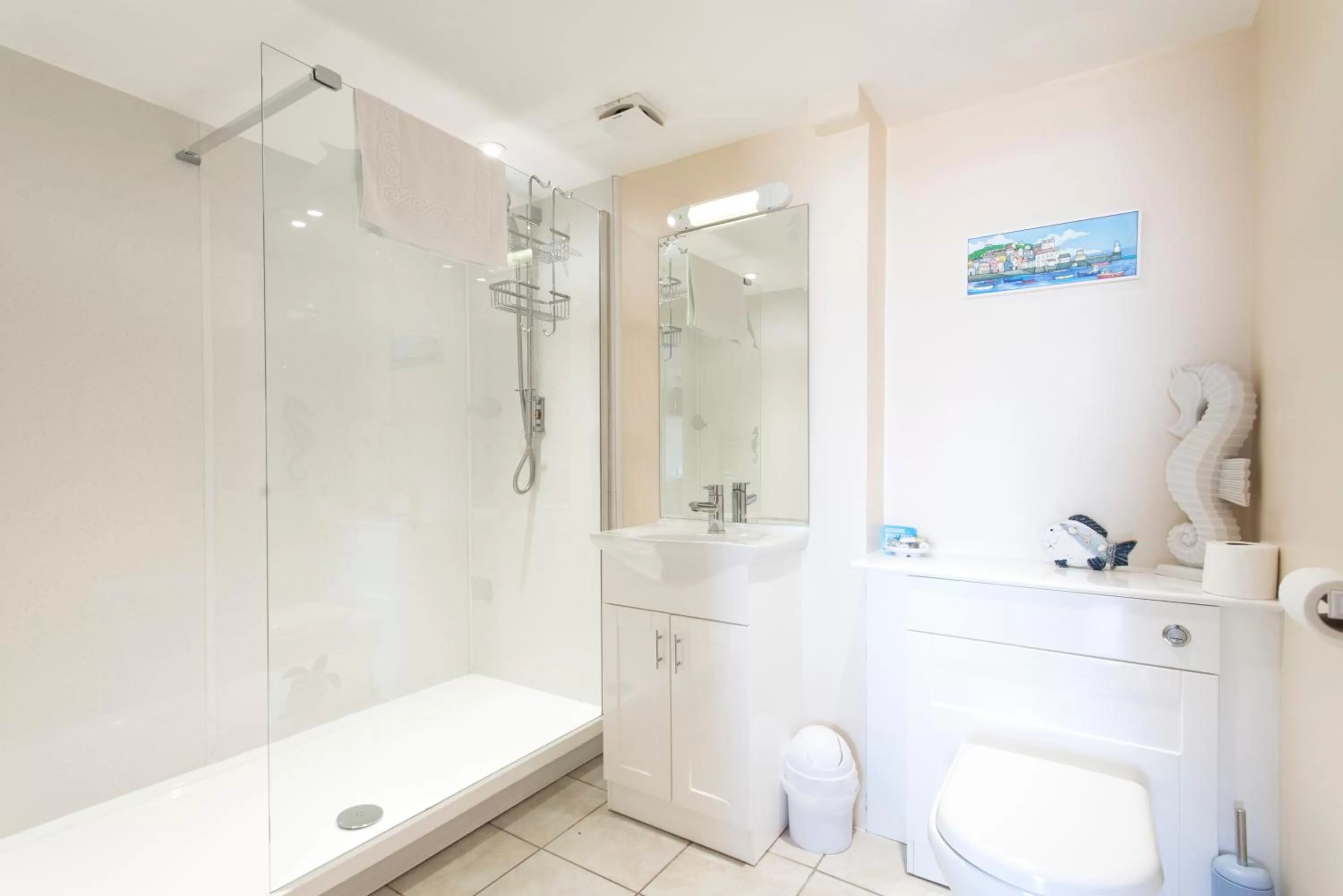 Shower in The Penellen guest accommodation room only