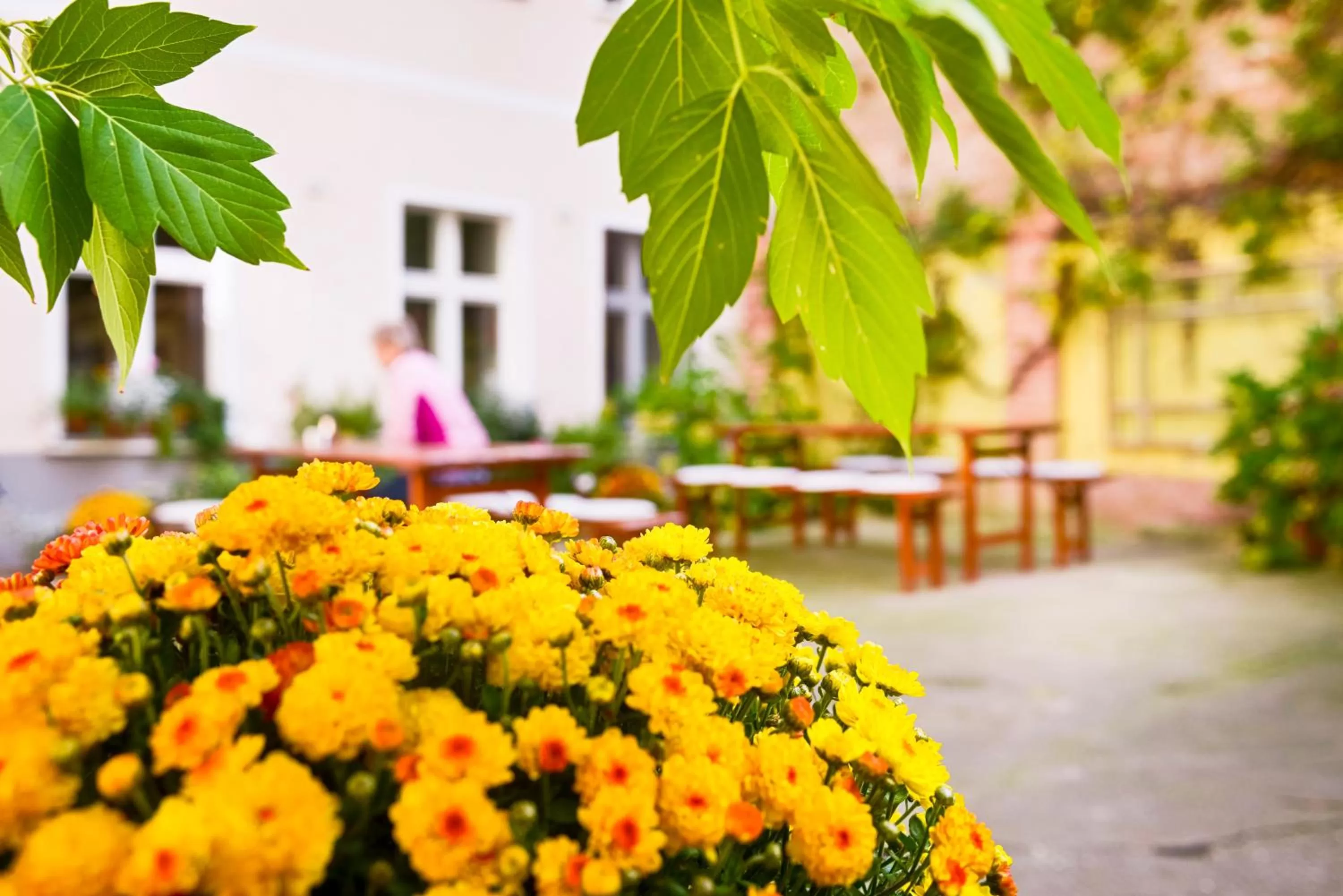 Patio in Old Town Hotel